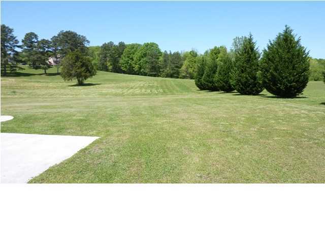 1150 Mt Pisgah Road Ringgold, GA 30736 - Photo 7 of 24 Additional Photo