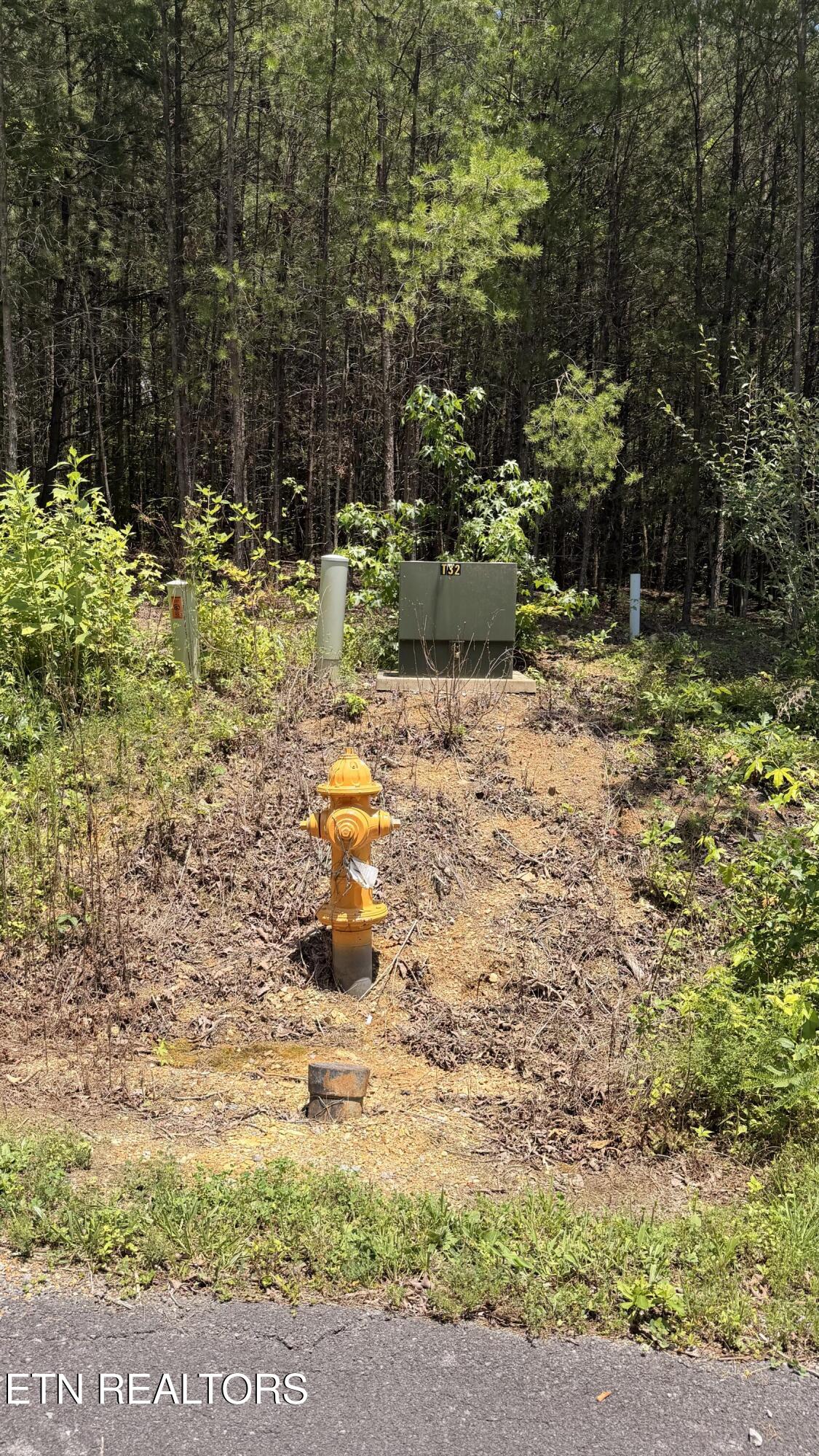 0 Huff Overlook Way Del Rio, TN 37727 - Photo 4 of 9 4_beyc6a4fc7a9ae9cd