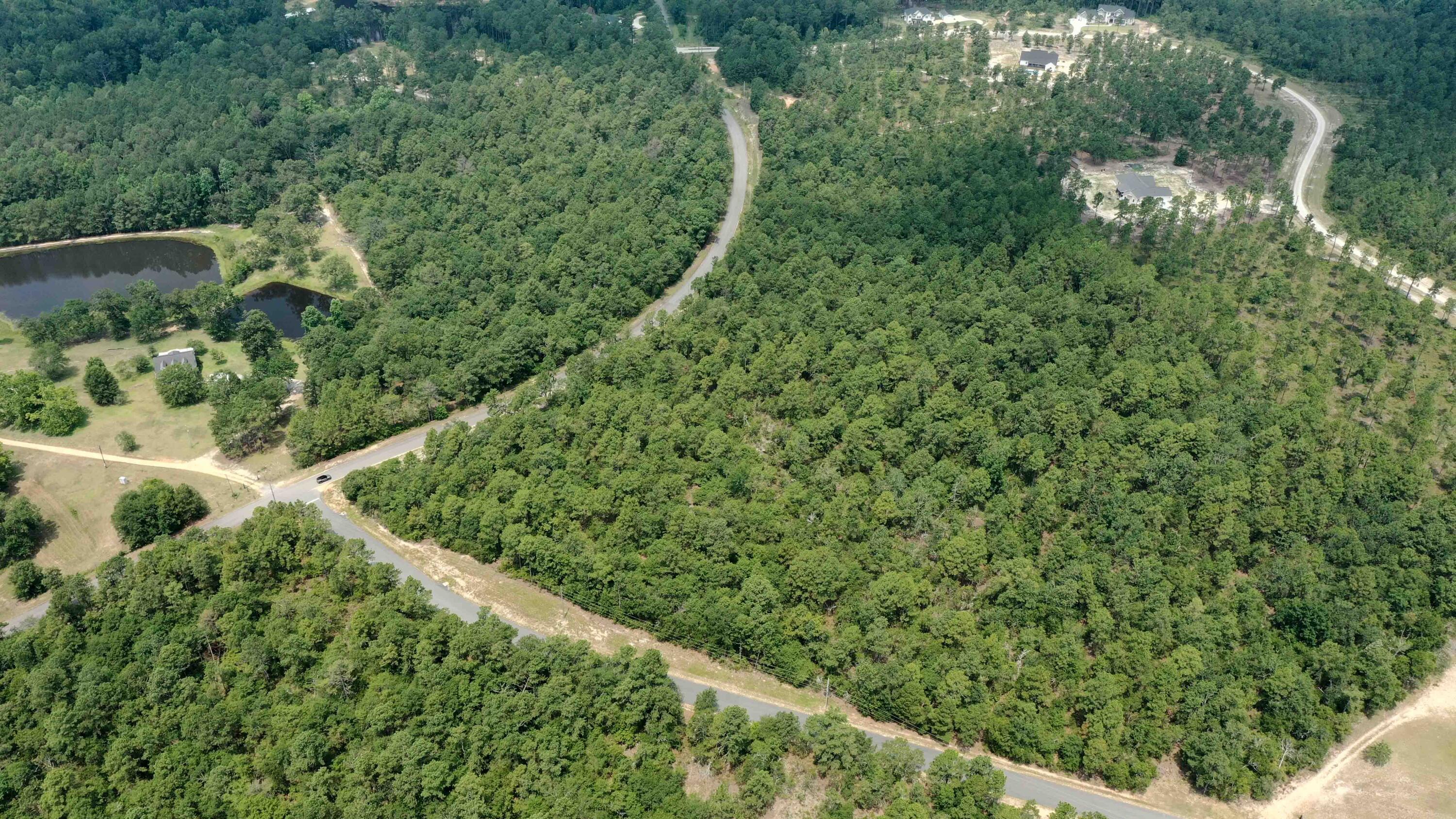 7 Mt Zion Road Trenton, SC 29847 - Photo 16 of 16 DJI_0746