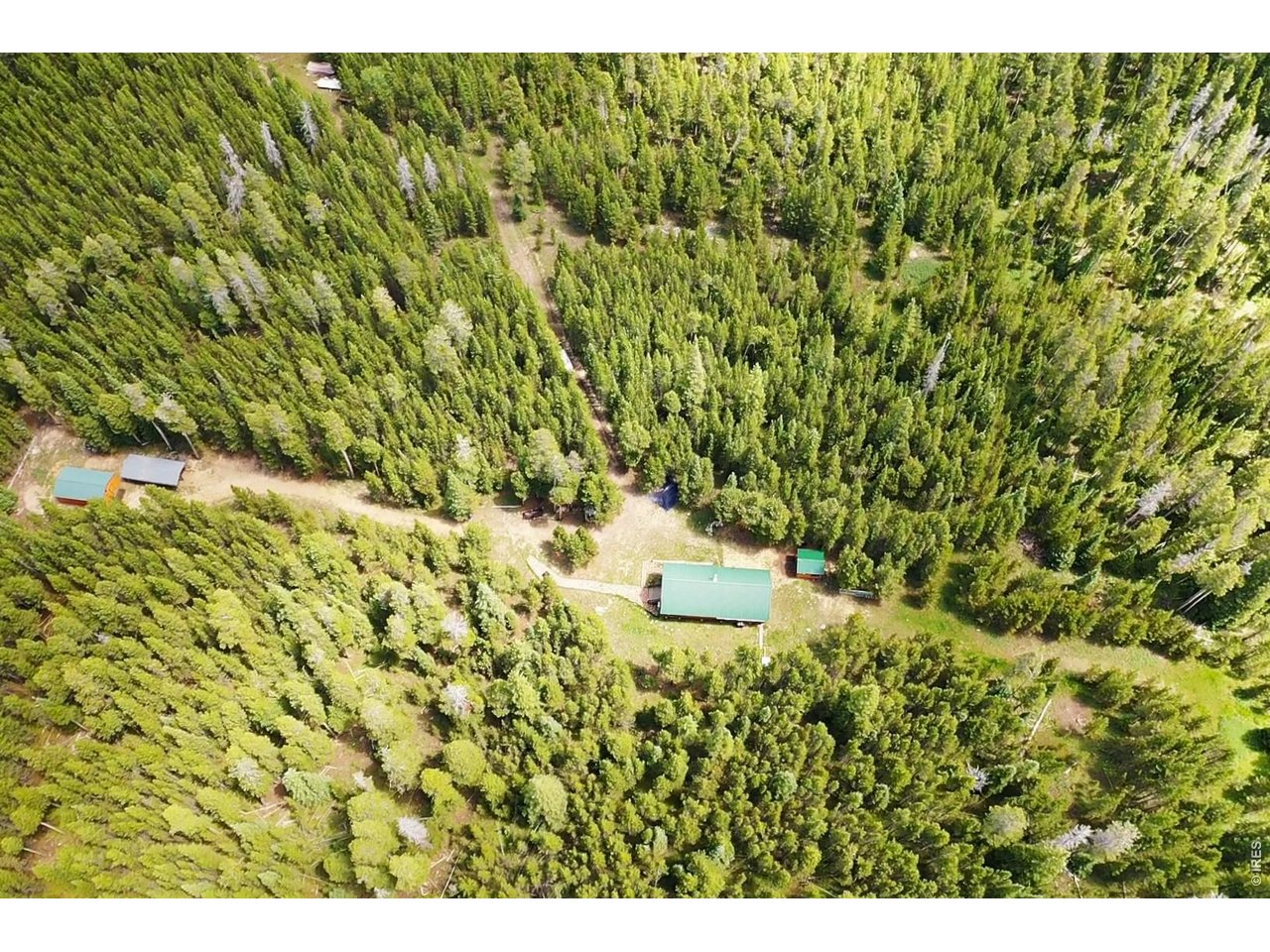 10000 Forest Road, Unit 169 Red Feather Lakes, CO 80545 - Photo 23 of 31 Cleared paths for easy access to other areas on your 35 acres.
