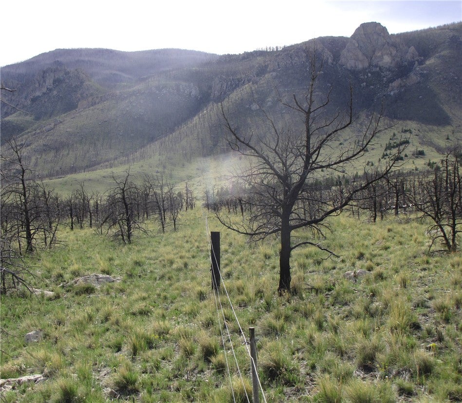 Tbd Tbd Ranger Way Red Lodge, MT 59068 - Photo 11 of 37 Gallery Image 11