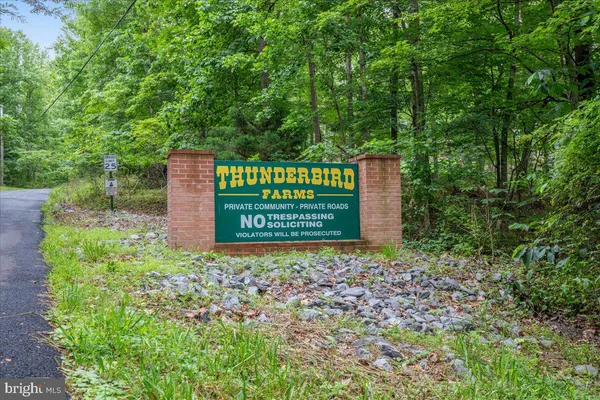 a view of a lot of trees and mountains