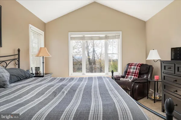 a view of a city with lush green forest