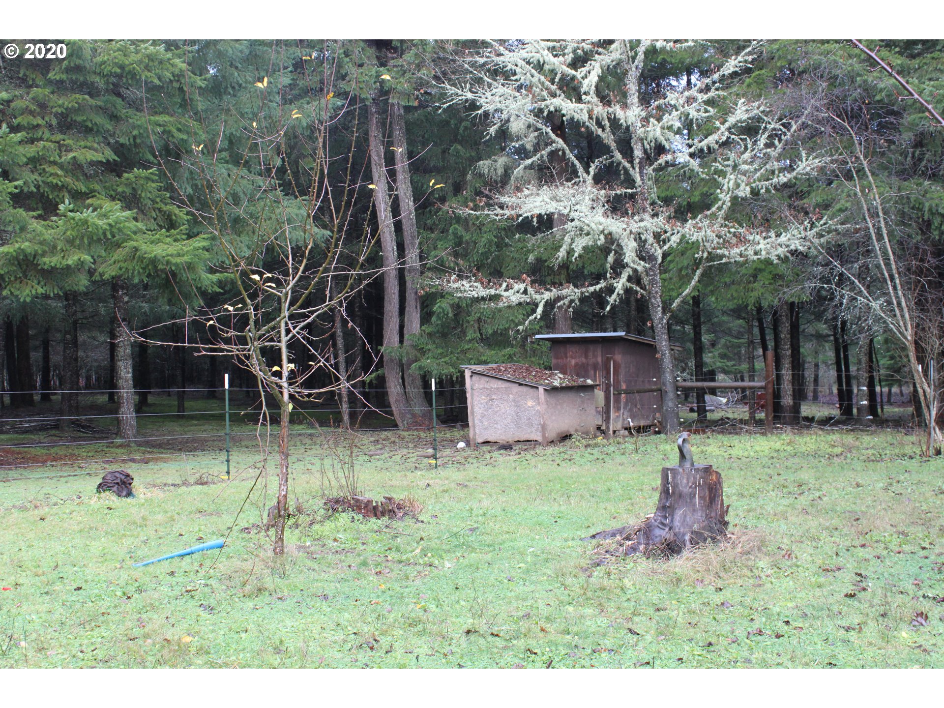88377 Ridiculous Road Veneta, OR 97487 - Photo 15 of 19 Gallery Image 15