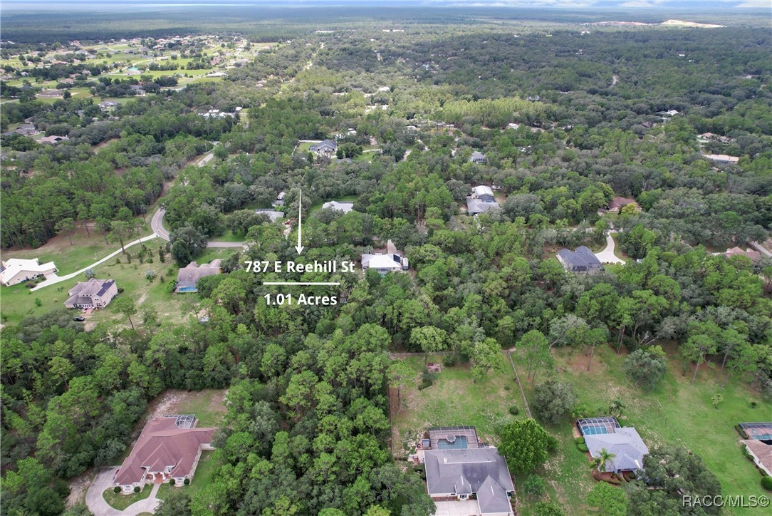 787 East Reehill Street Lecanto, FL 34461 - Photo 1 of 10 Aerial