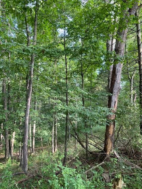 456 Lodge Road Crystal Spring, PA 15536 - Photo 8 of 58 Gallery Image 8