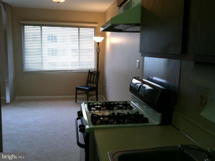 1200 South Arlington Ridge Road, Unit 711 Arlington, VA 22202 - Photo 5 of 7 Interior (General)