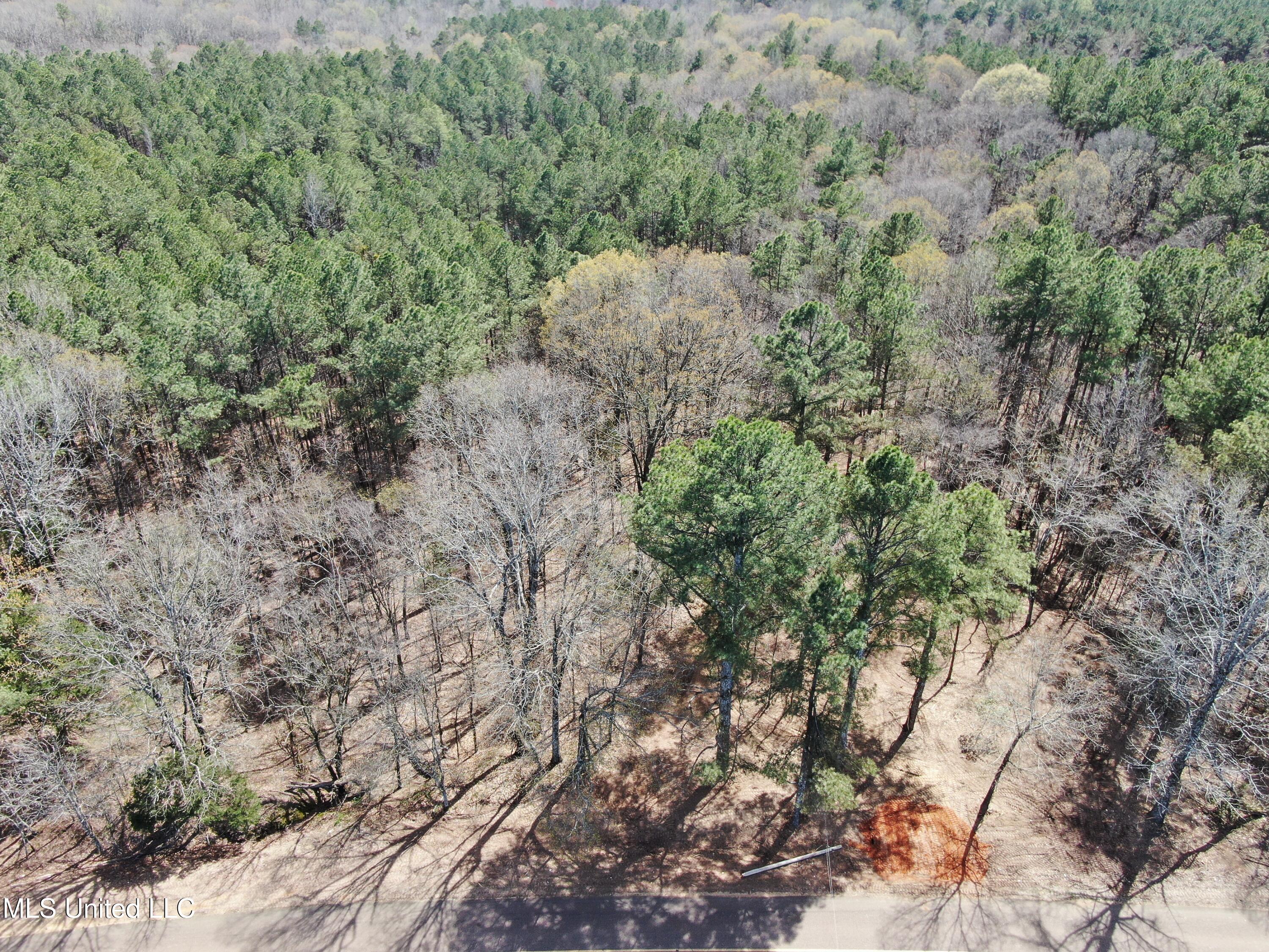 0 Glenville Road Como, MS 38619 - Photo 1 of 44 DJI_0506