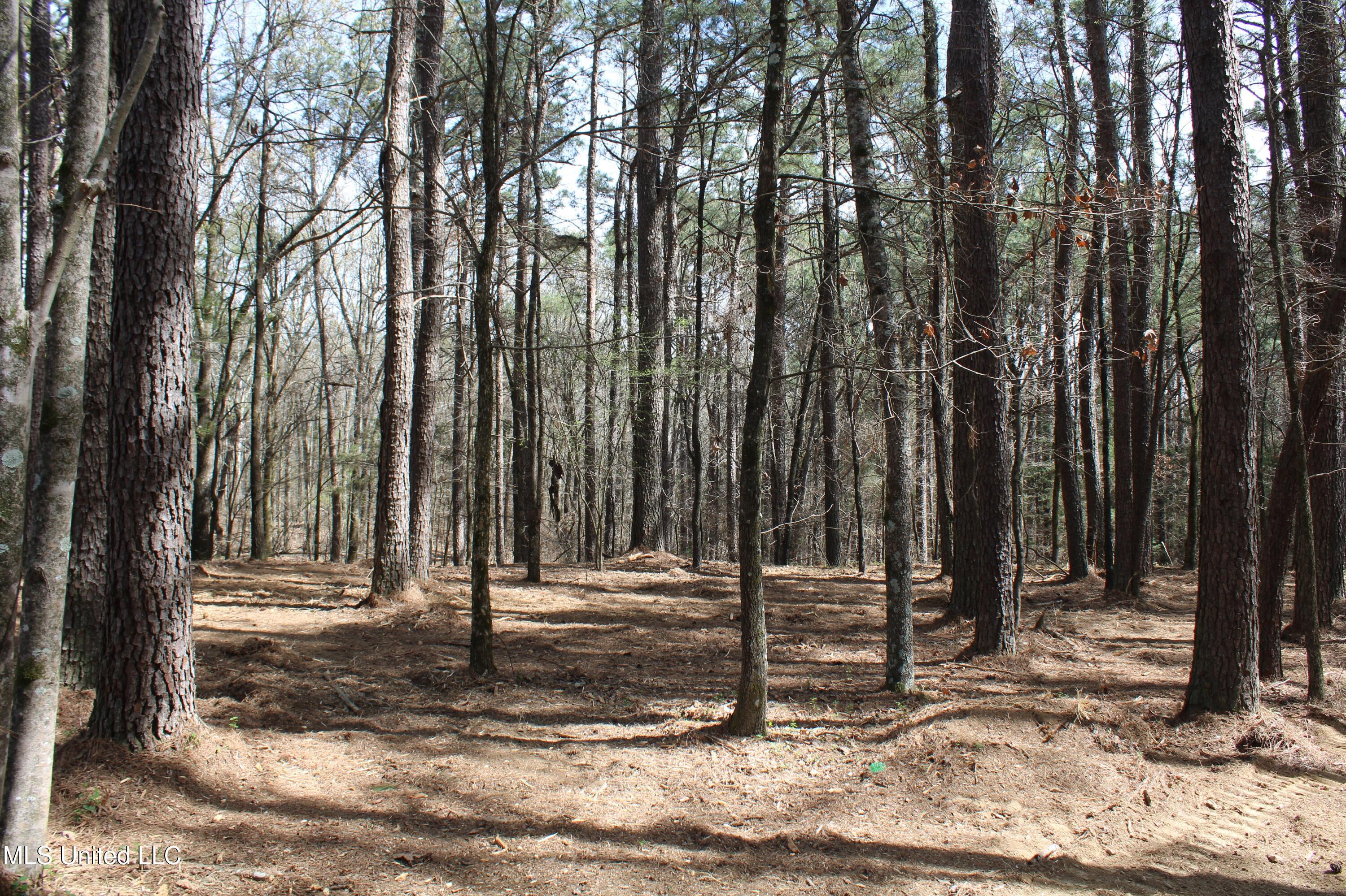 0 Glenville Road Como, MS 38619 - Photo 13 of 44 IMG_5758