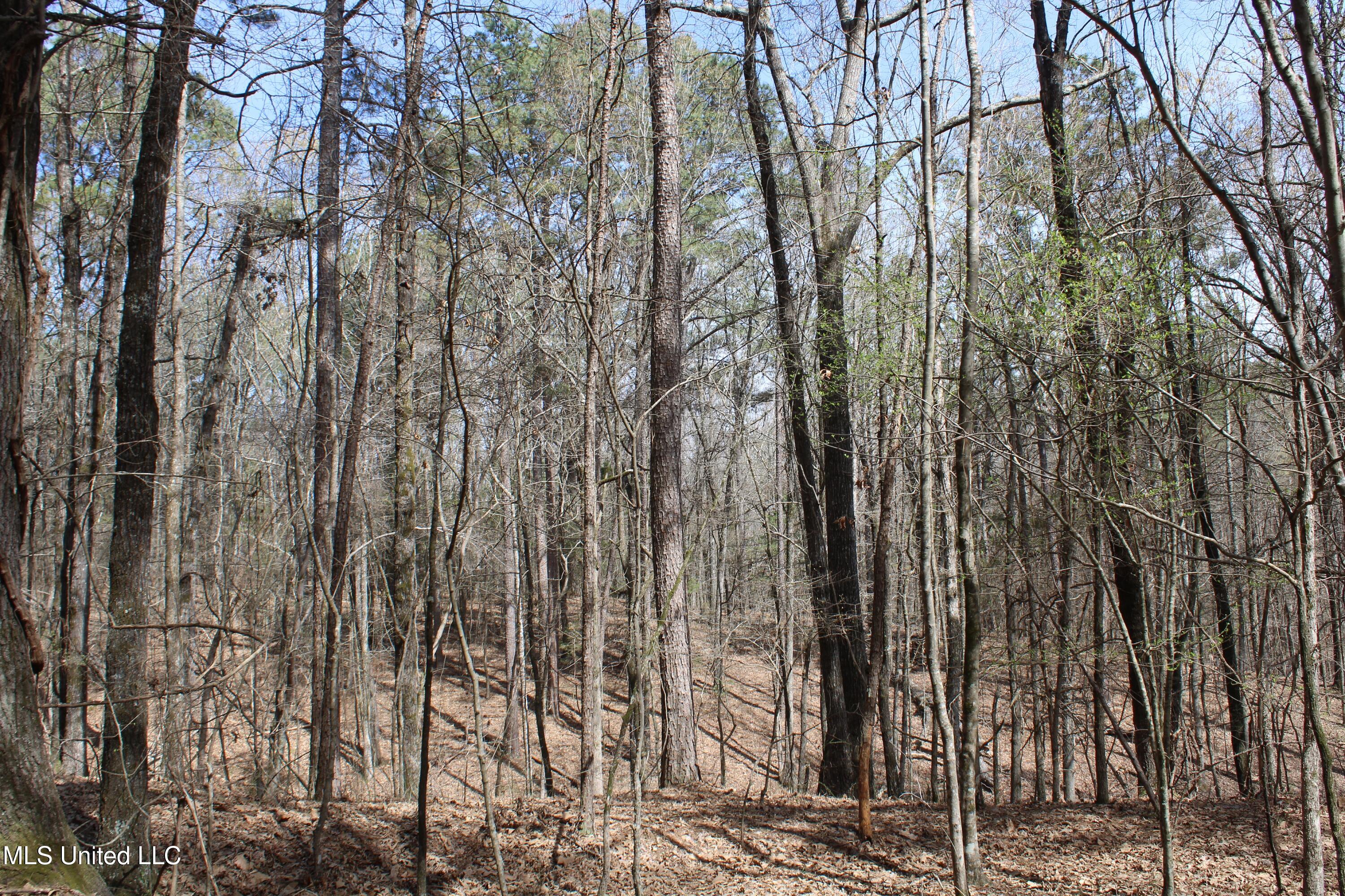 0 Glenville Road Como, MS 38619 - Photo 16 of 44 IMG_5761