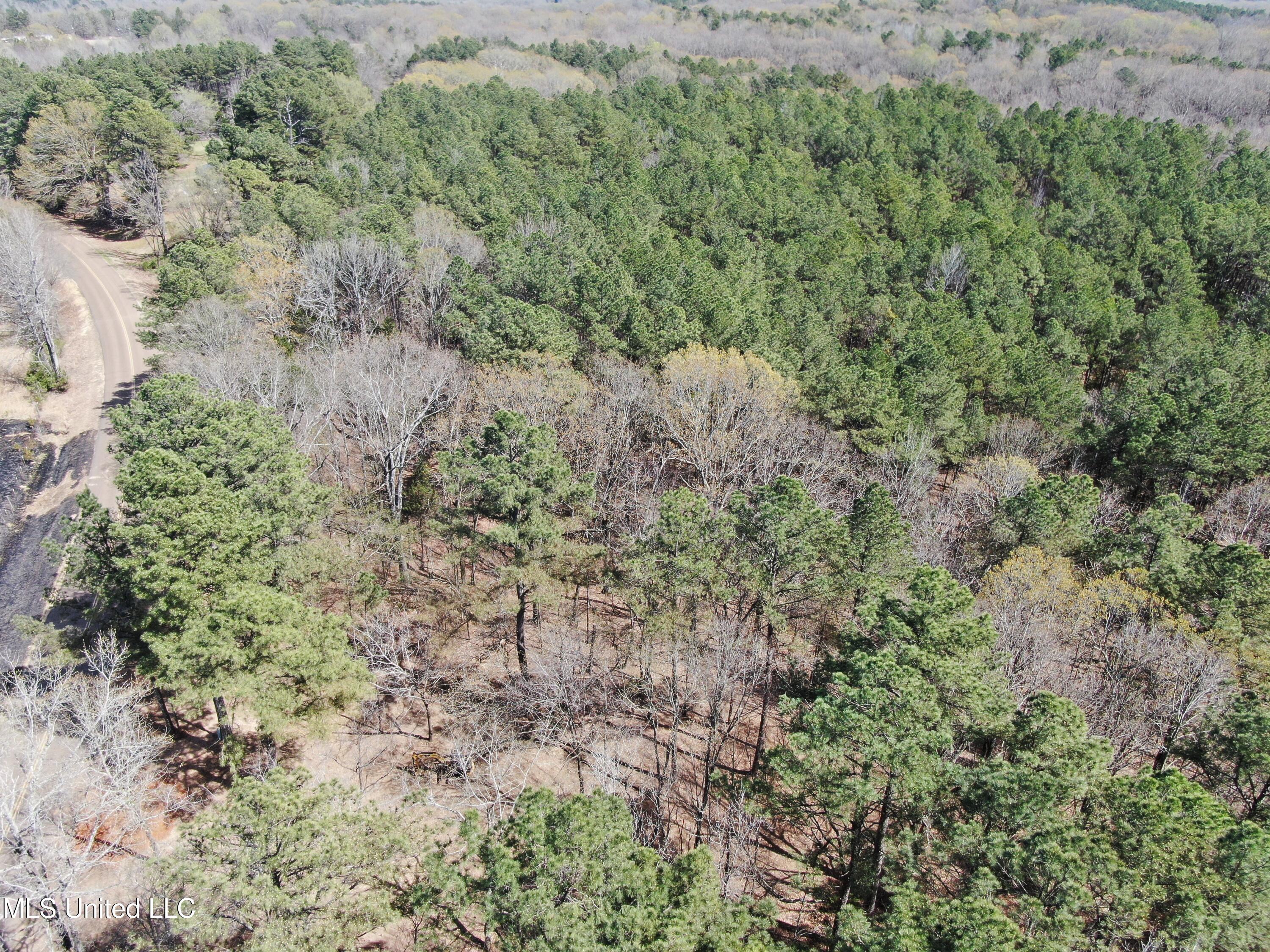 0 Glenville Road Como, MS 38619 - Photo 2 of 44 DJI_0507