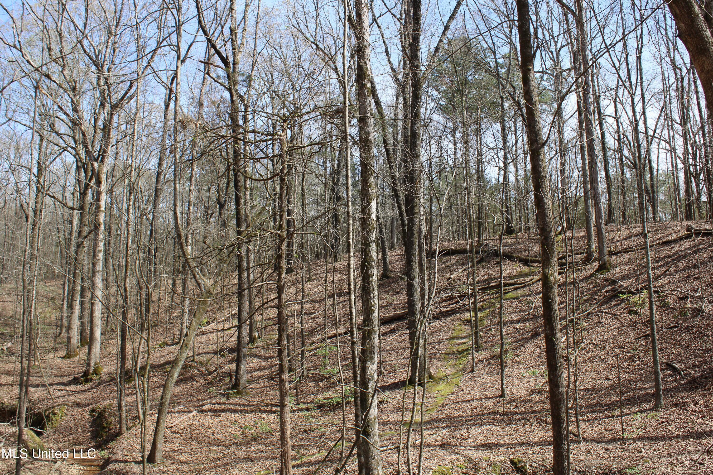 0 Glenville Road Como, MS 38619 - Photo 21 of 44 IMG_5766