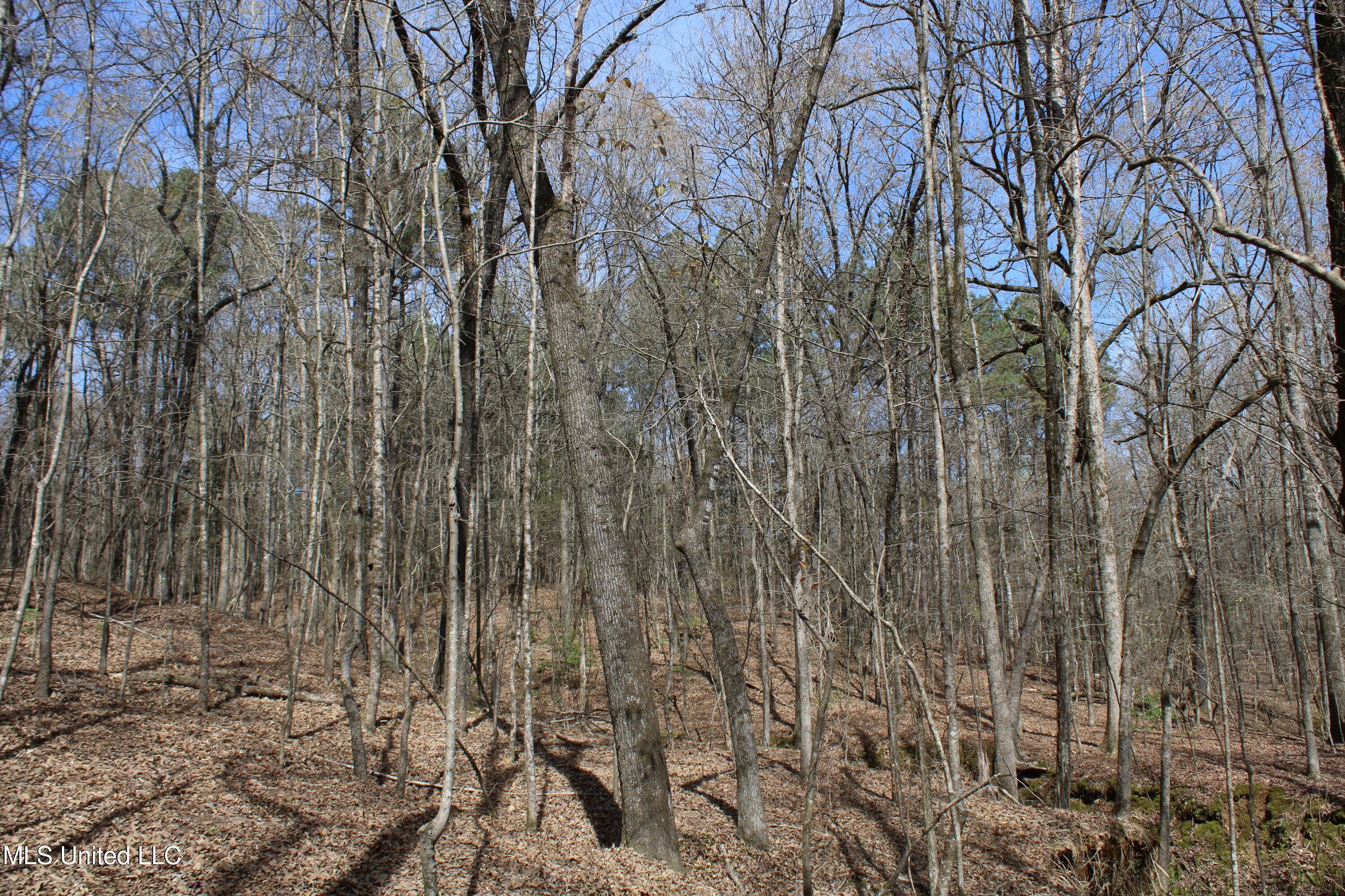 0 Glenville Road Como, MS 38619 - Photo 22 of 44 IMG_5767