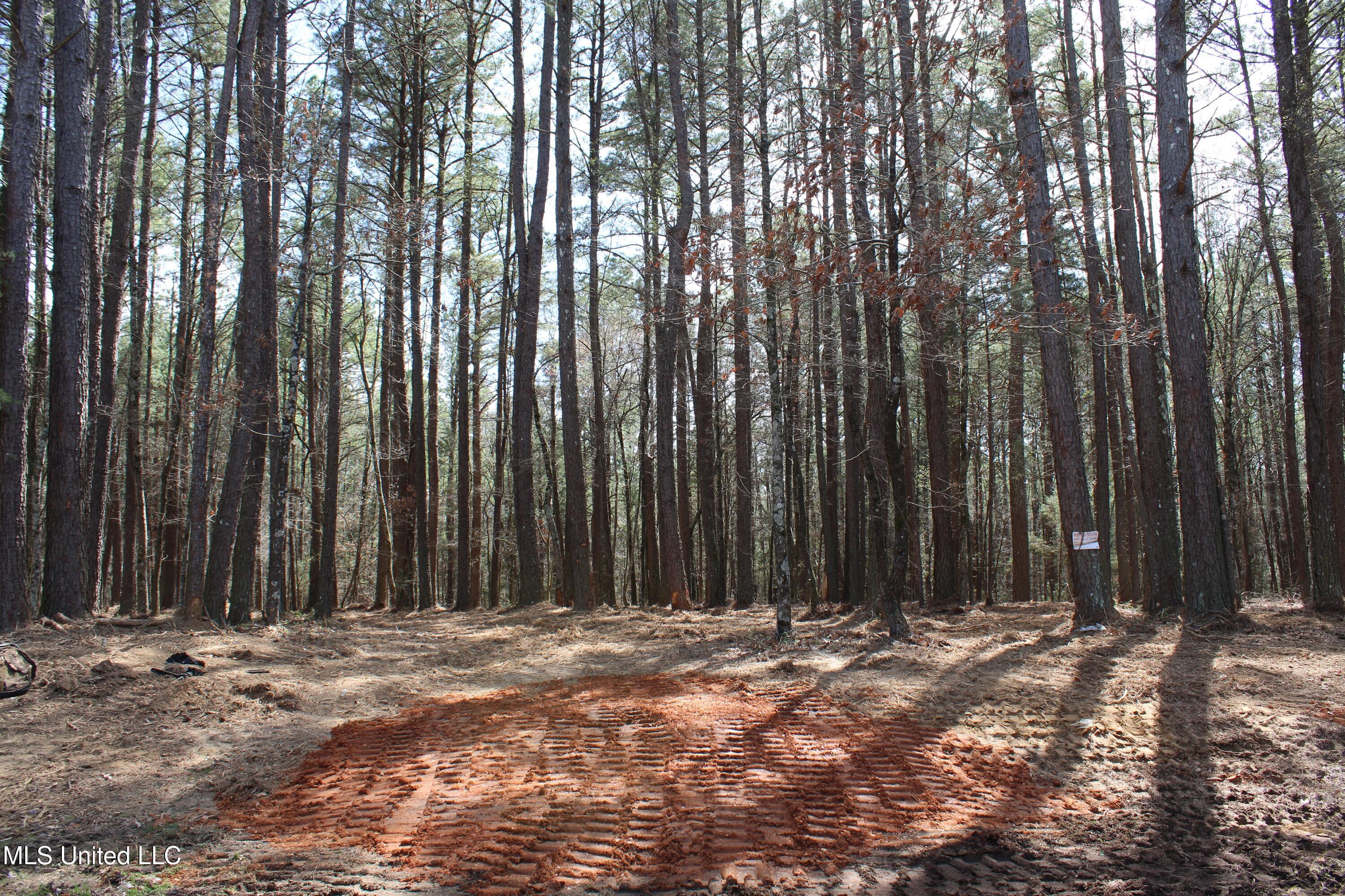 0 Glenville Road Como, MS 38619 - Photo 23 of 44 IMG_5768