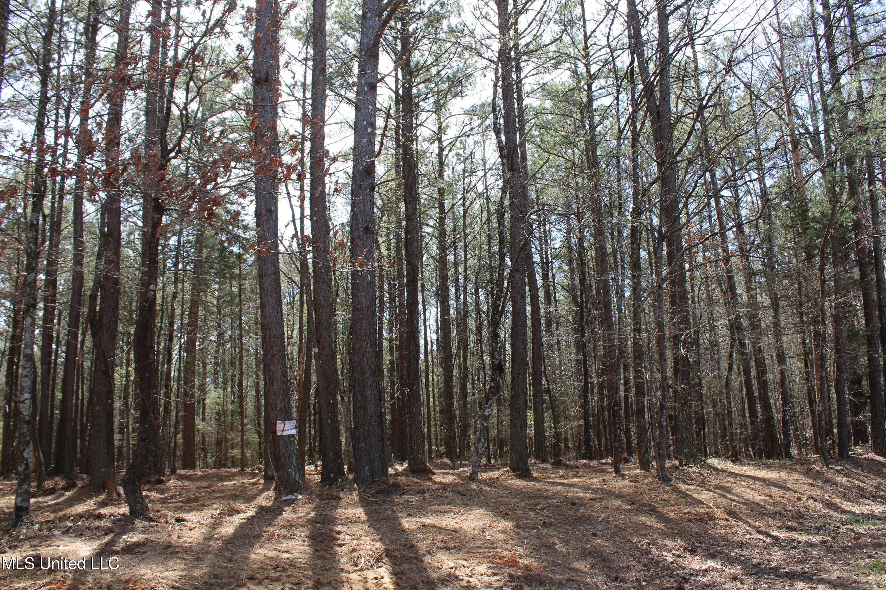0 Glenville Road Como, MS 38619 - Photo 24 of 44 IMG_5769
