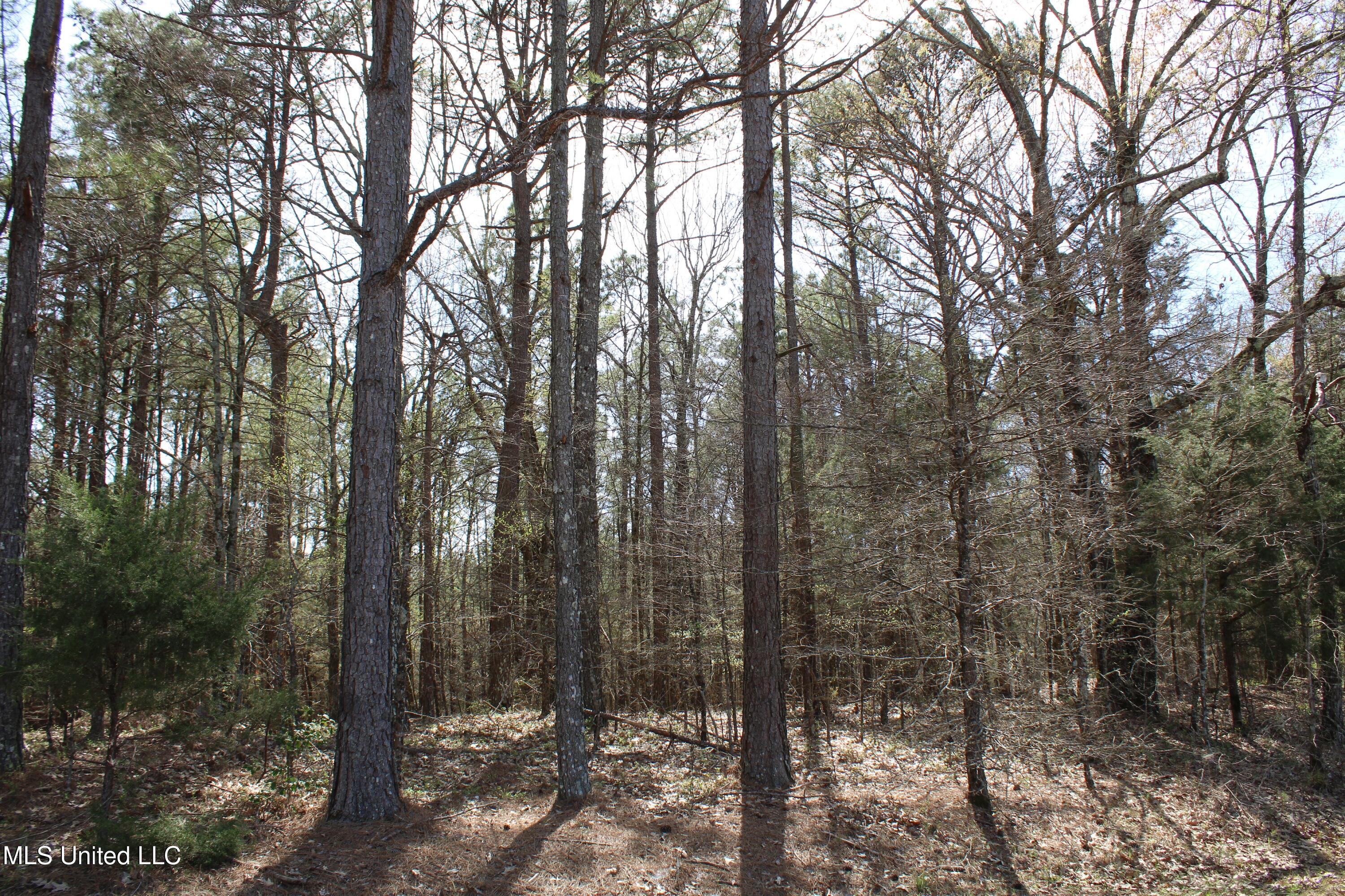 0 Glenville Road Como, MS 38619 - Photo 26 of 44 IMG_5771