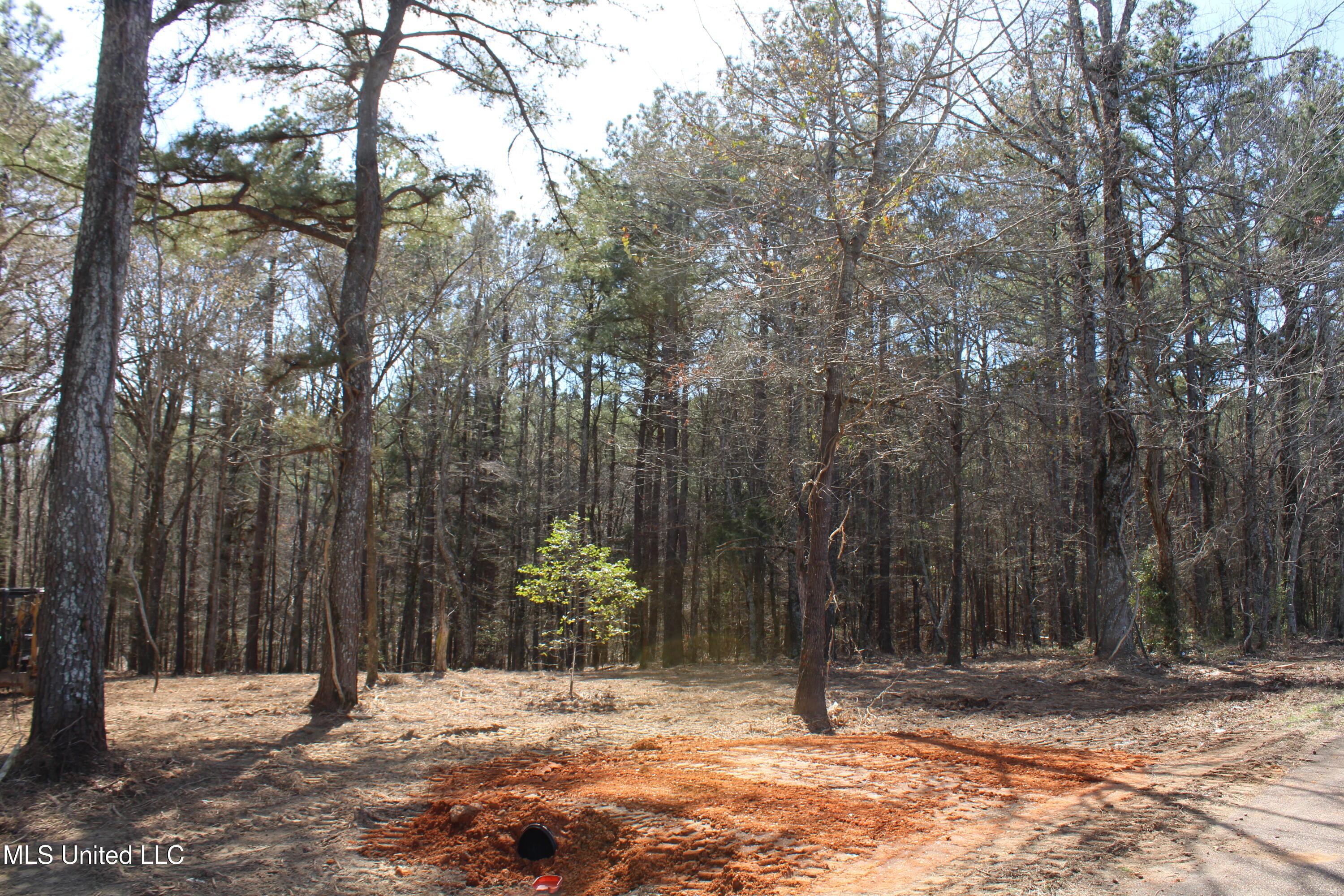 0 Glenville Road Como, MS 38619 - Photo 27 of 44 IMG_5772