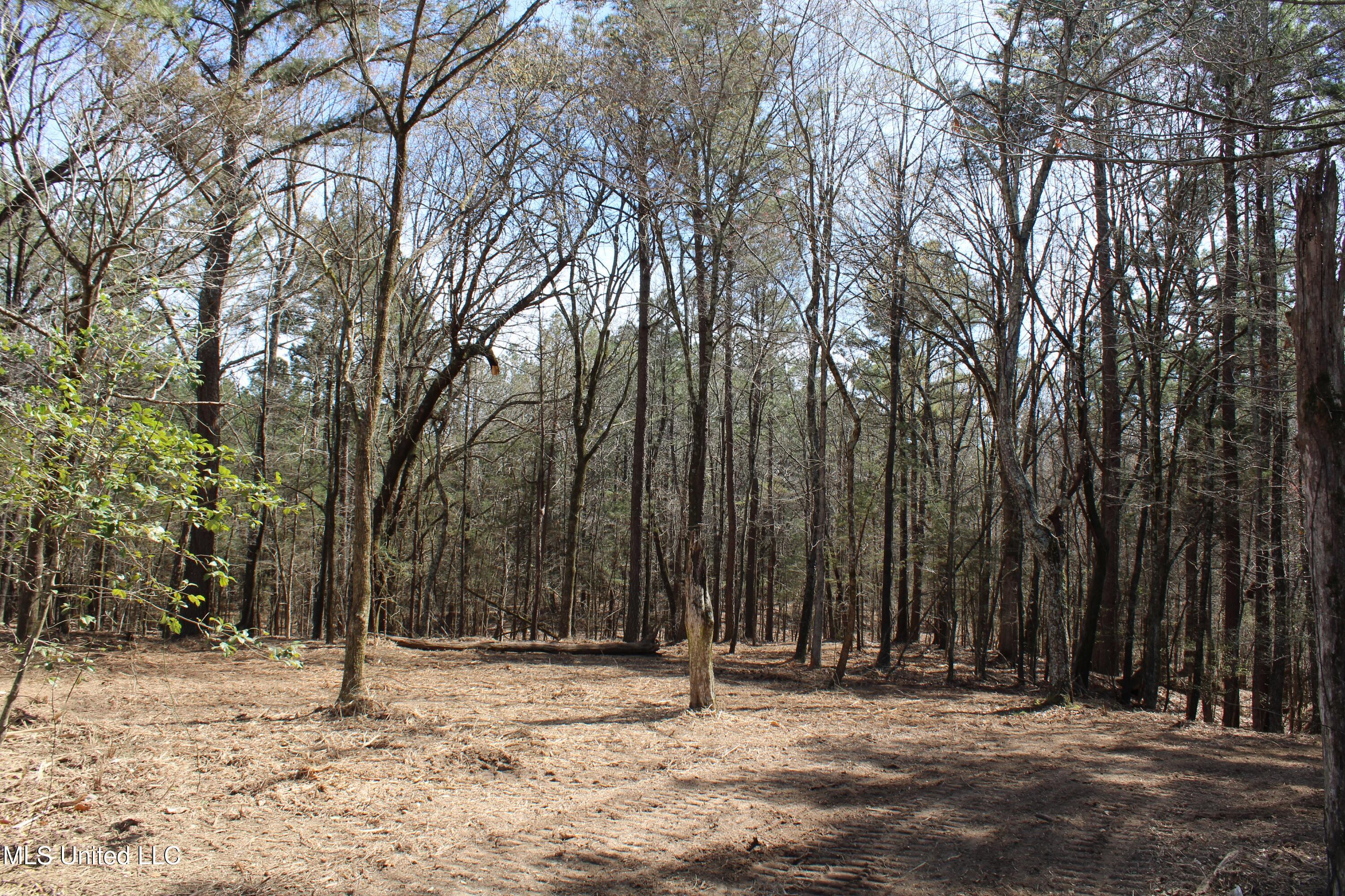 0 Glenville Road Como, MS 38619 - Photo 28 of 44 IMG_5773