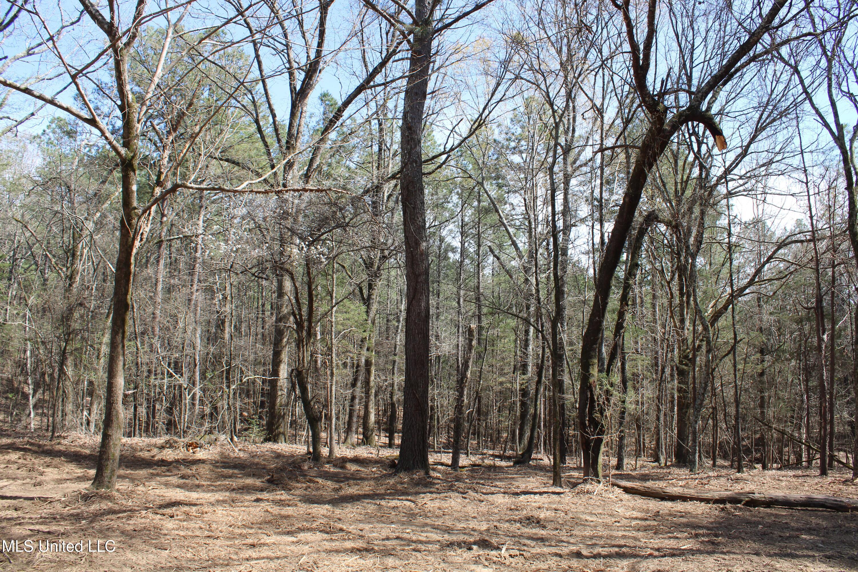 0 Glenville Road Como, MS 38619 - Photo 29 of 44 IMG_5774