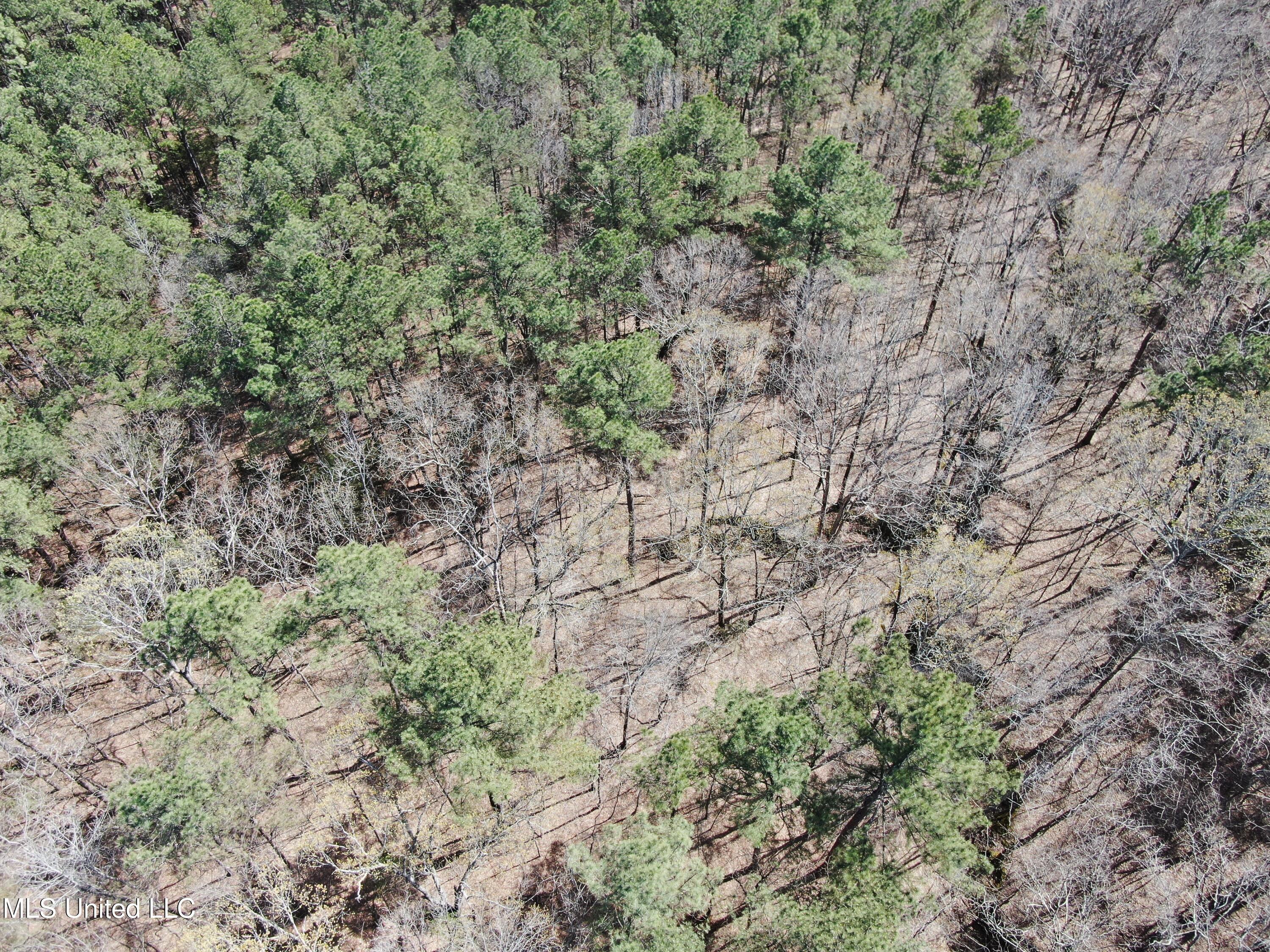 0 Glenville Road Como, MS 38619 - Photo 3 of 44 DJI_0508