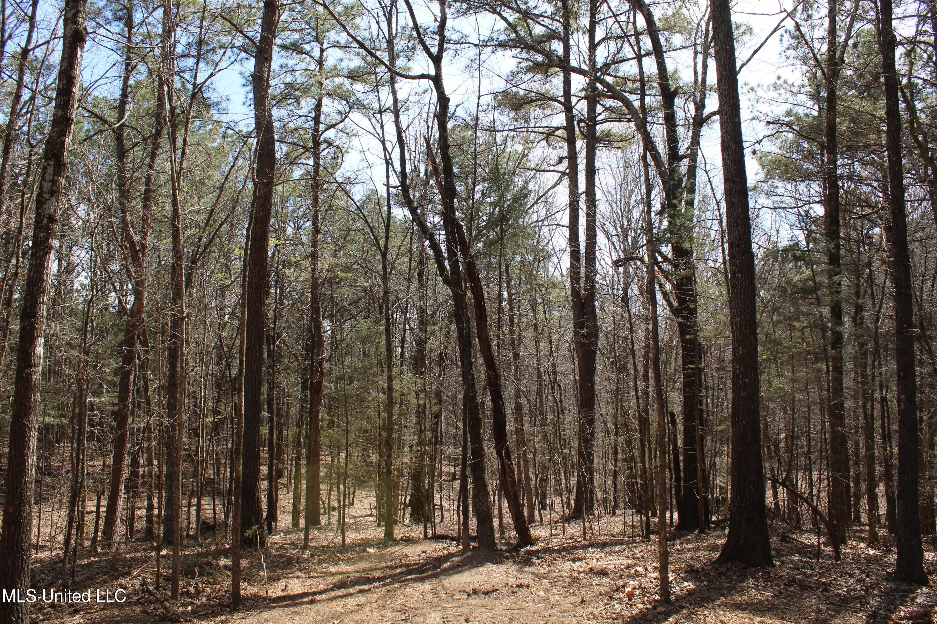 0 Glenville Road Como, MS 38619 - Photo 31 of 44 IMG_5776