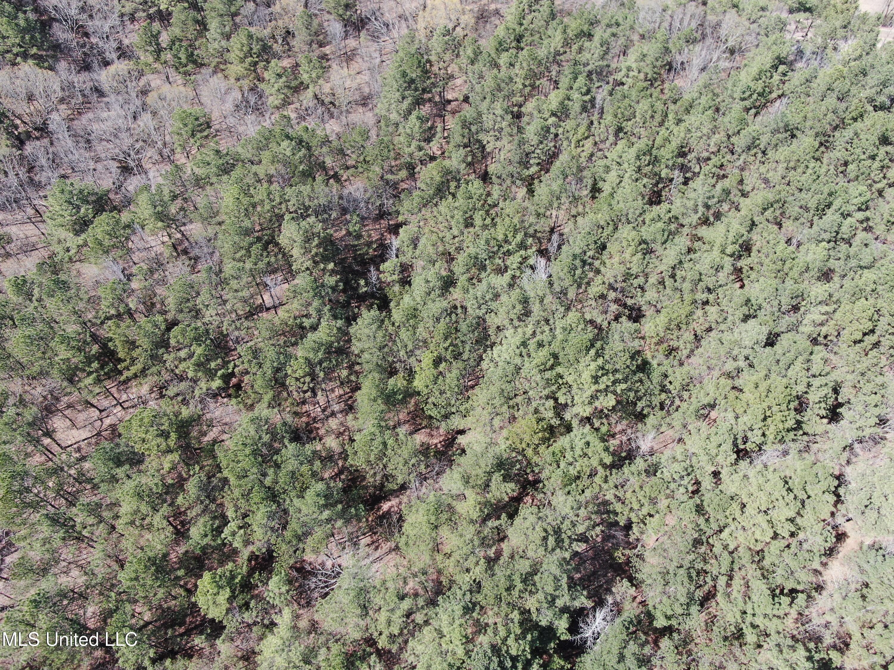 0 Glenville Road Como, MS 38619 - Photo 4 of 44 DJI_0509
