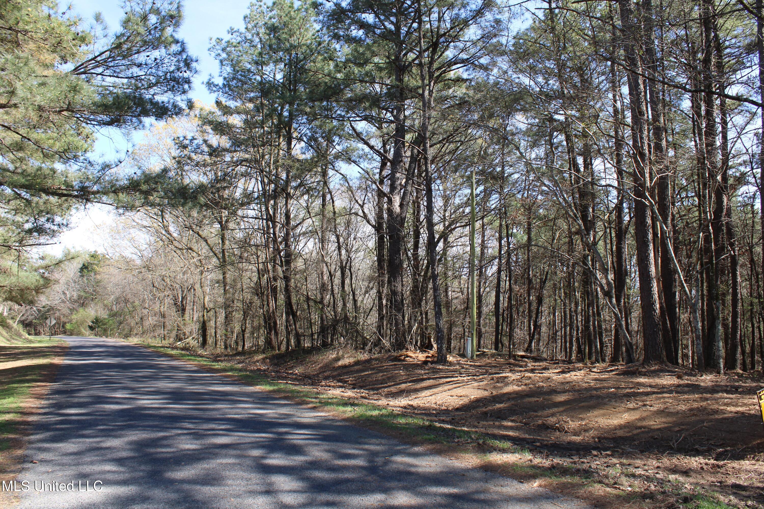 0 Glenville Road Como, MS 38619 - Photo 44 of 44 IMG_5789