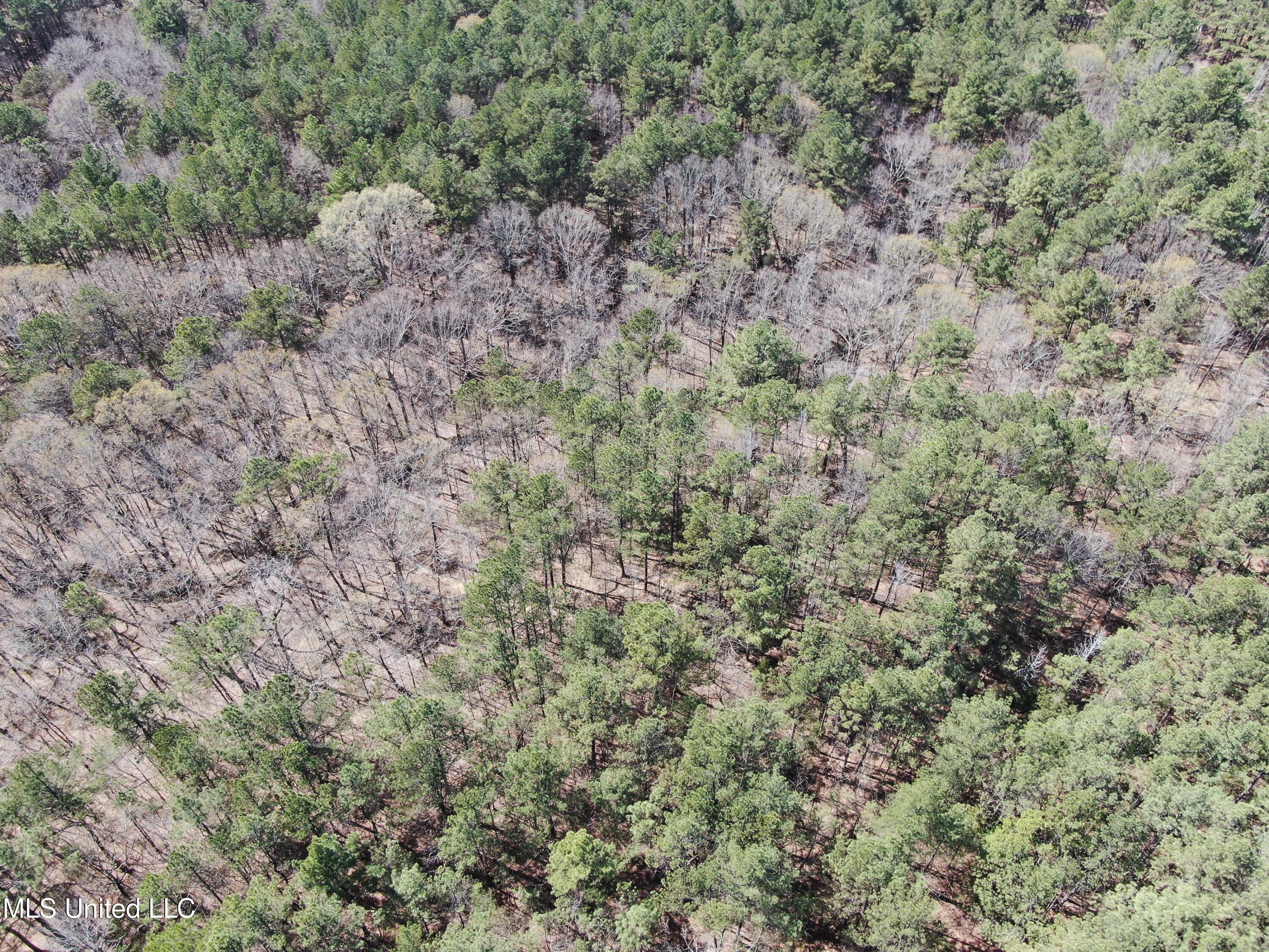 0 Glenville Road Como, MS 38619 - Photo 5 of 44 DJI_0510
