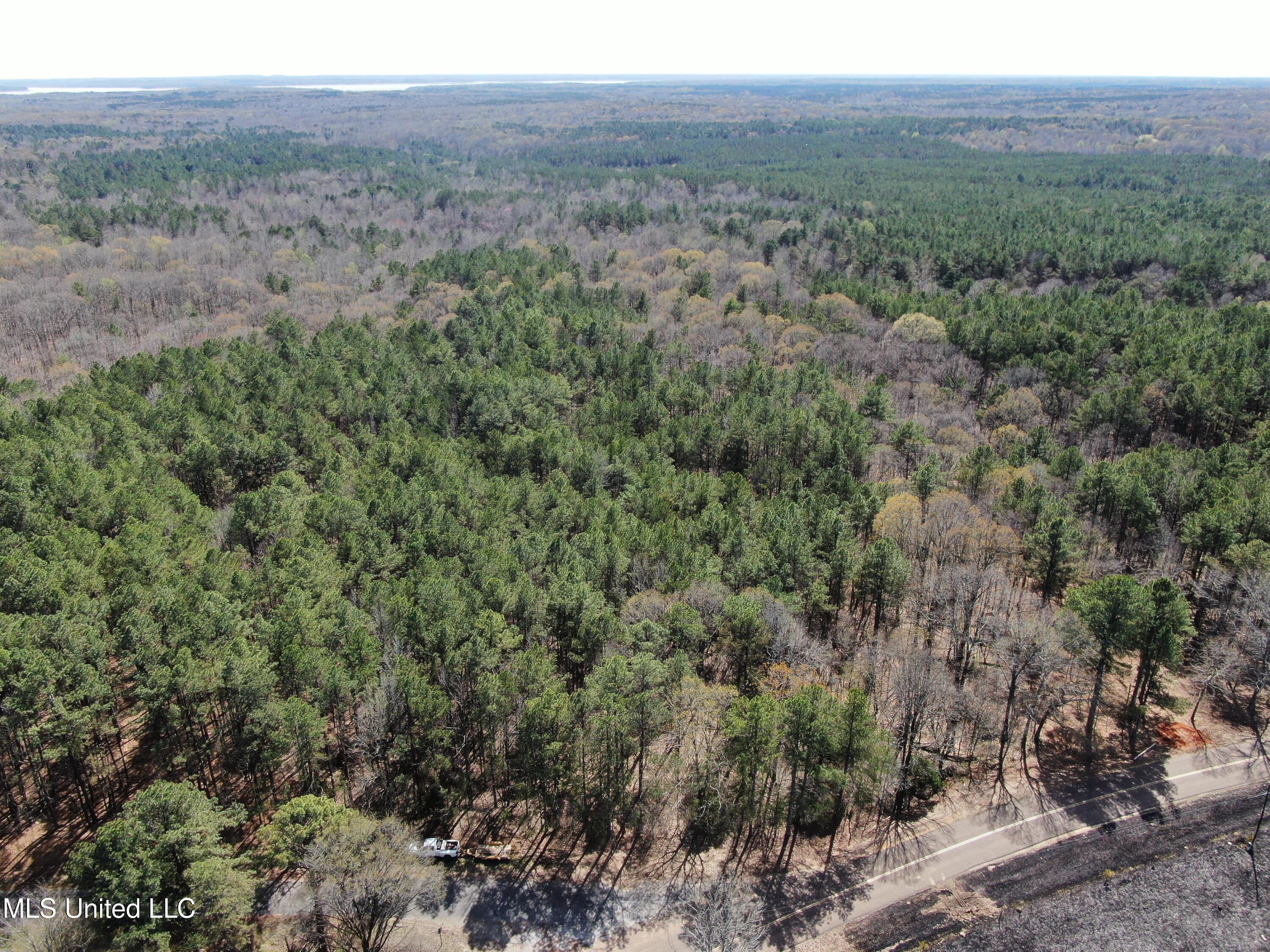 0 Glenville Road Como, MS 38619 - Photo 6 of 44 DJI_0511