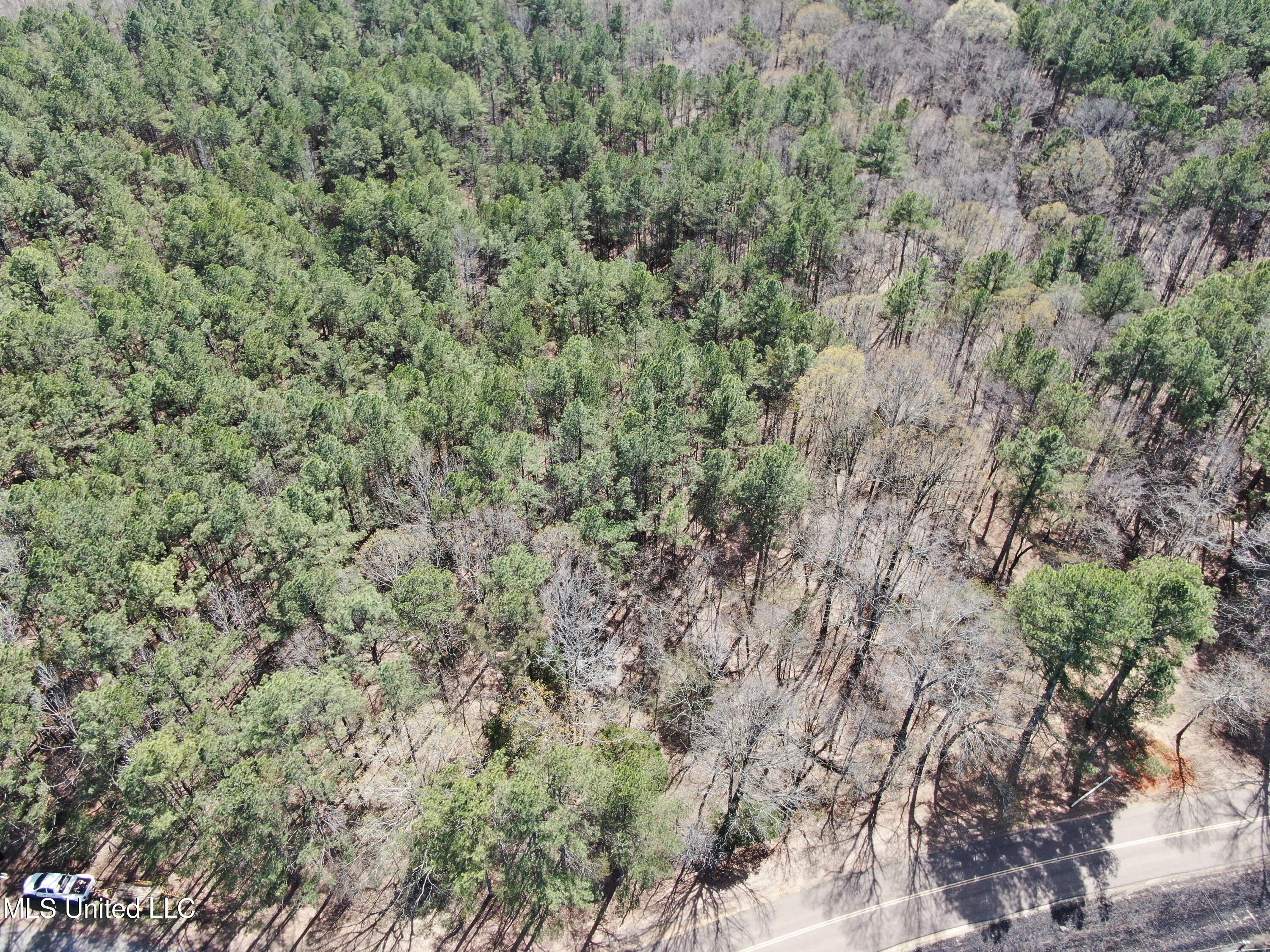 0 Glenville Road Como, MS 38619 - Photo 7 of 44 DJI_0512