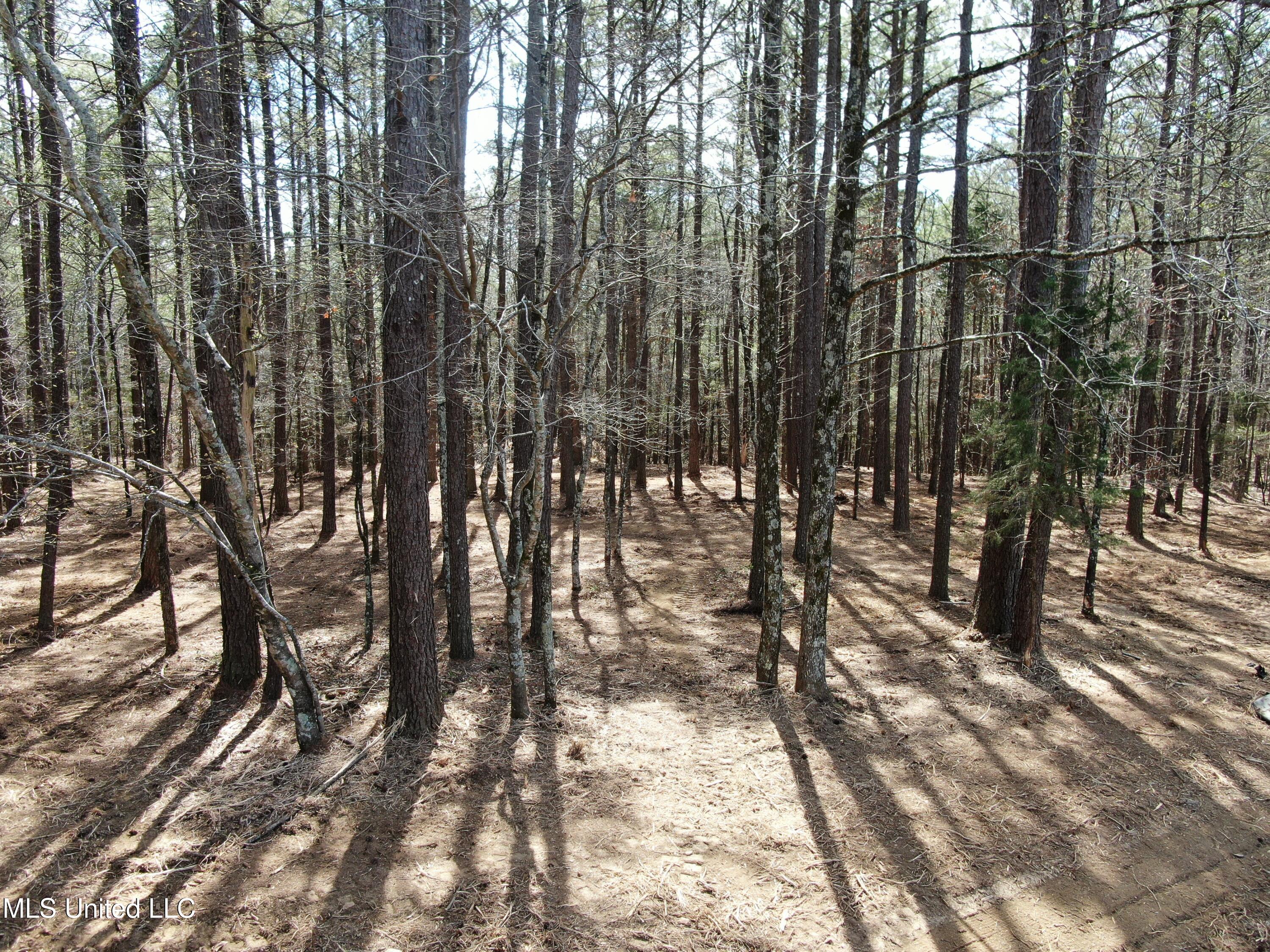0 Glenville Road Como, MS 38619 - Photo 9 of 44 DJI_0505