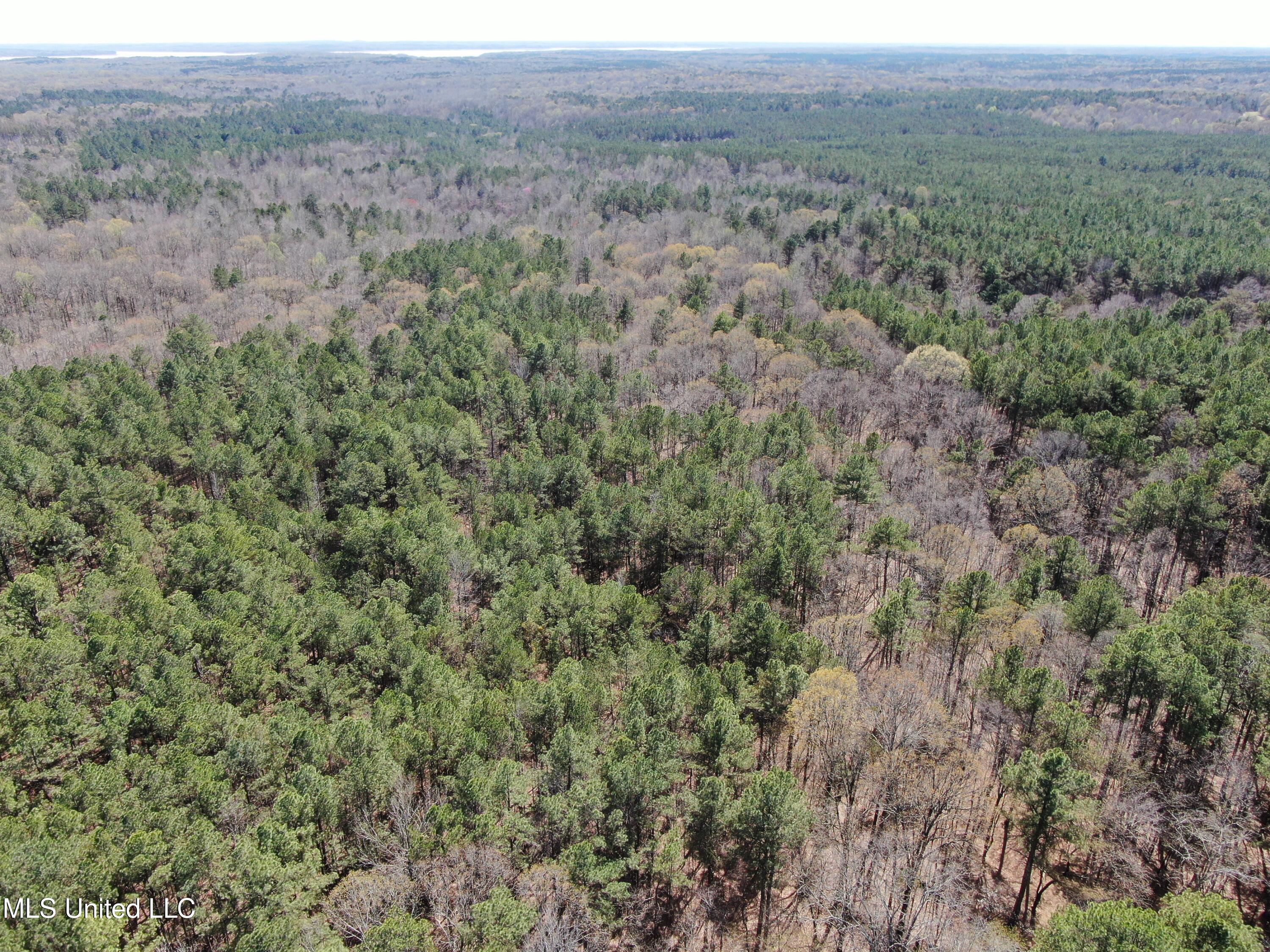 0 Glenville Road Como, MS 38619 - Photo 10 of 44 DJI_0513