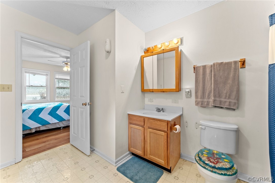 650 Johnson Road Mineral, VA 23117 - Photo 10 of 29 a bathroom with a sink a toilet and a shower curtain