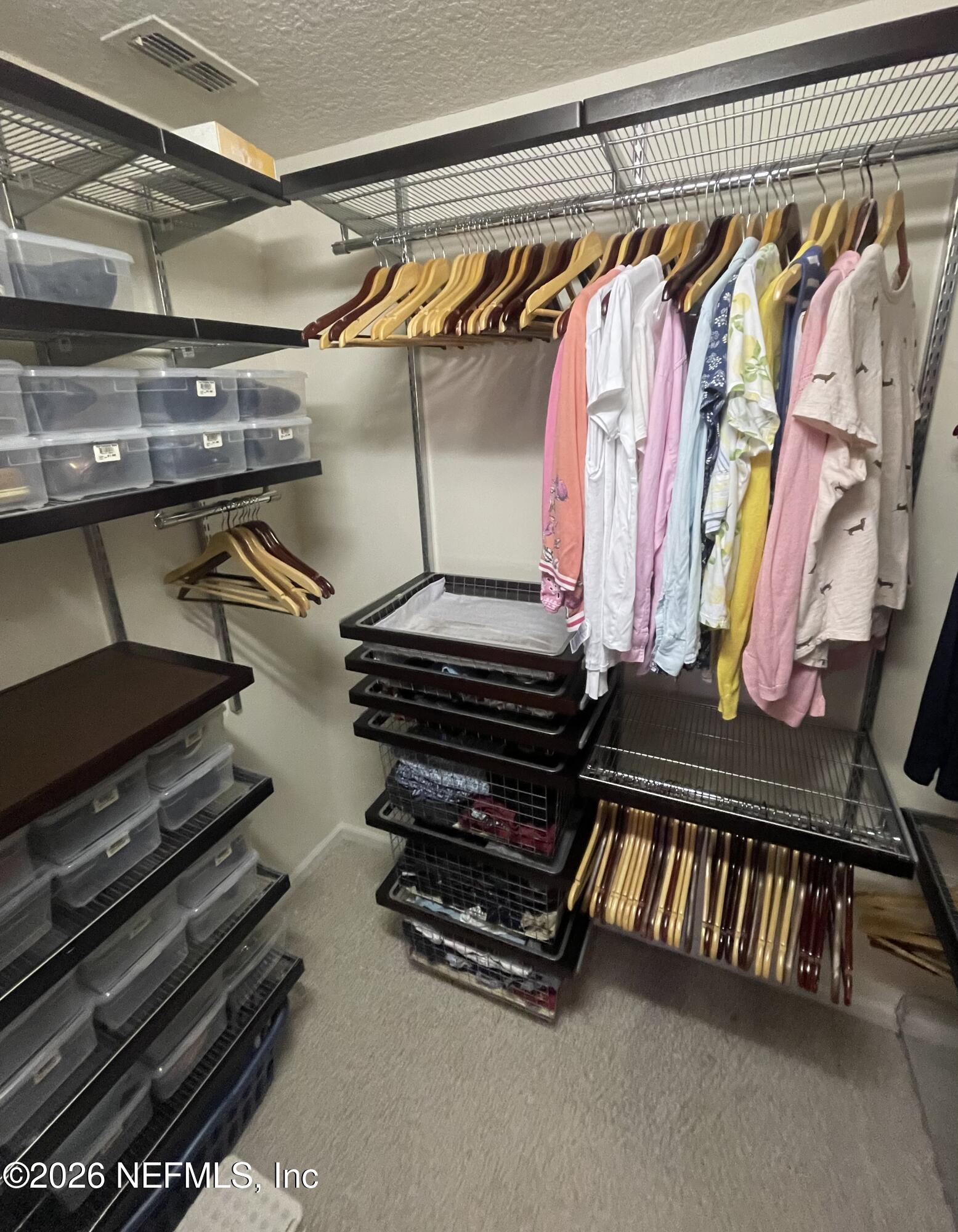 1424 Tintern Lane St. Augustine, FL 32092 - Photo 19 of 32 a view of walk in closet with clothes and shoes
