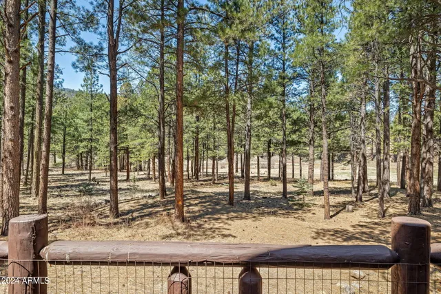 $768,593 | 9 County Road, Greer, AZ 85927