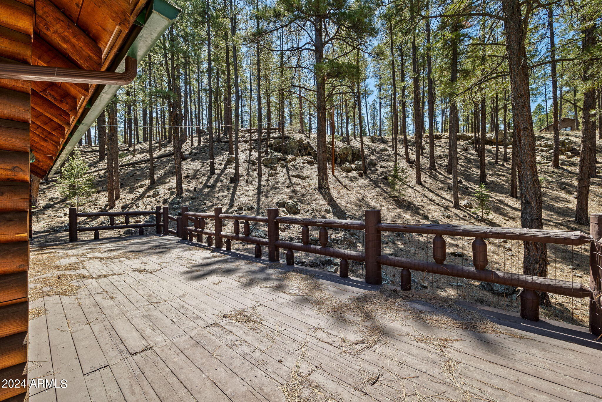 9 County Road Greer, AZ 85927 - Photo 16 of 33 a view of a pathway with an outdoor space