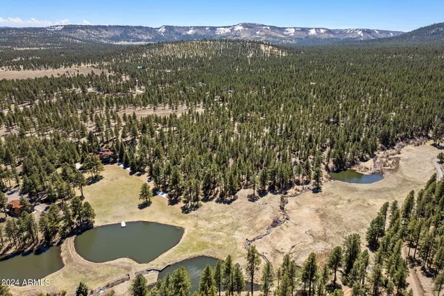 $768,593 | 9 County Road, Greer, AZ 85927