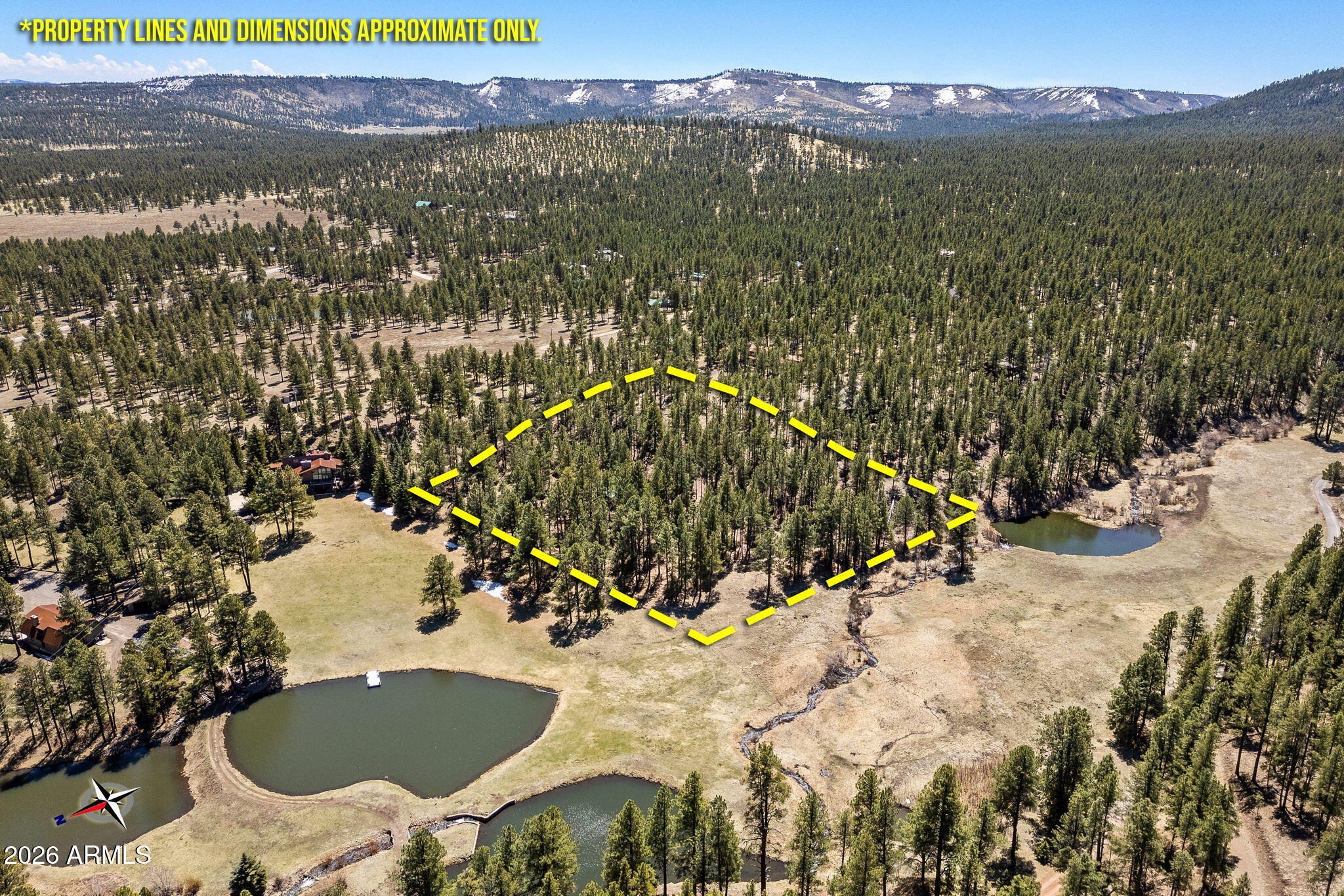 9 County Road Greer, AZ 85927 - Photo 5 of 33 a view of a swimming pool with a yard