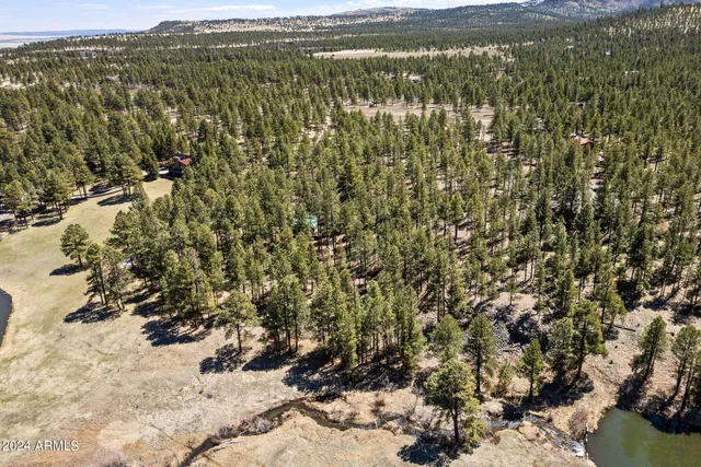 $768,593 | 9 County Road, Greer, AZ 85927