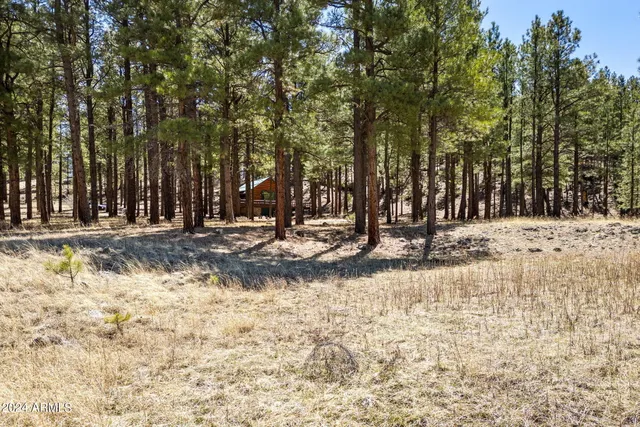 $768,593 | 9 County Road, Greer, AZ 85927