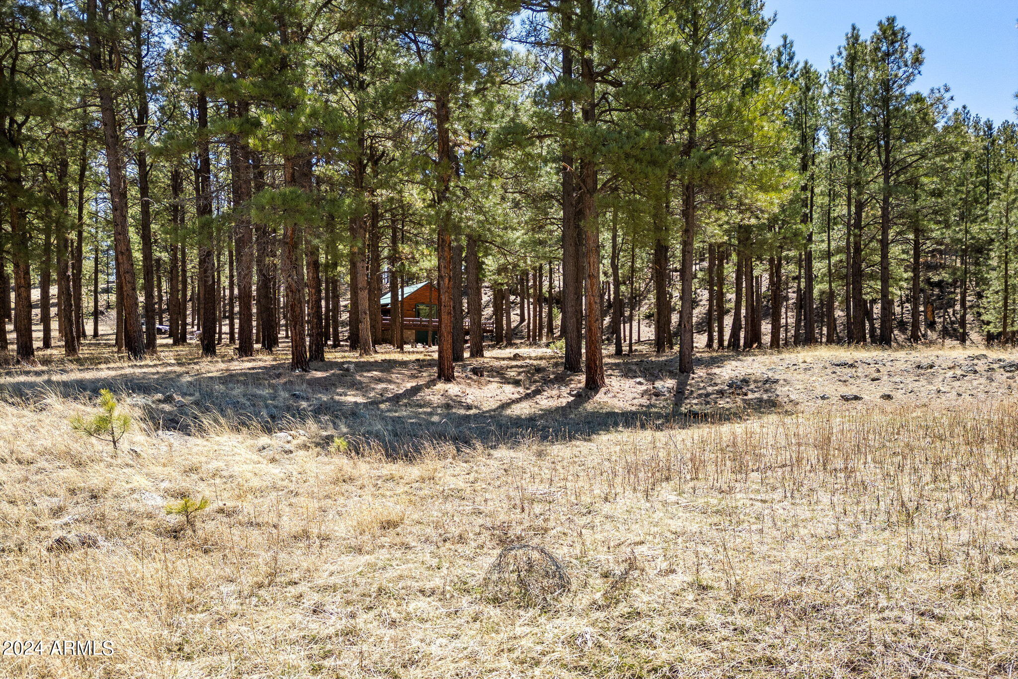 9 County Road Greer, AZ 85927 - Photo 7 of 33 a view of outdoor space with sink