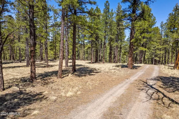 a view of road with trees