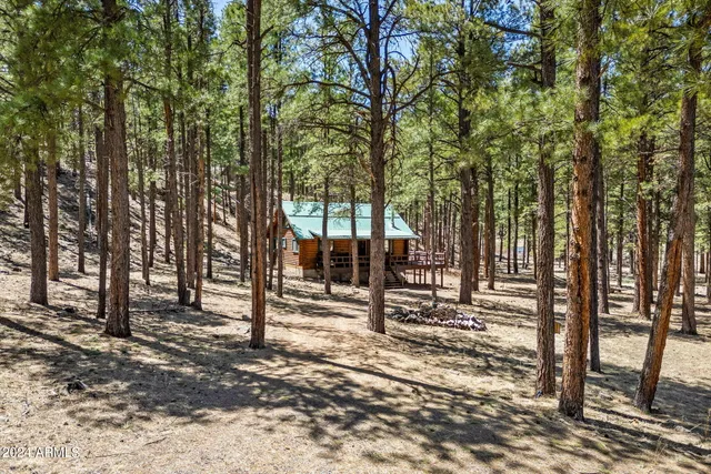 $768,593 | 9 County Road, Greer, AZ 85927