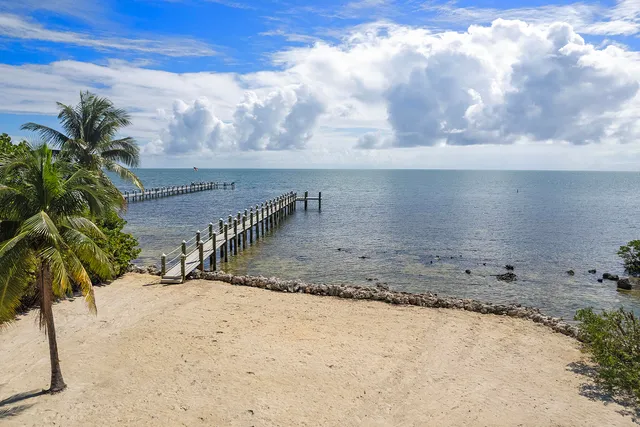 a view of a dry yard with wooden fence