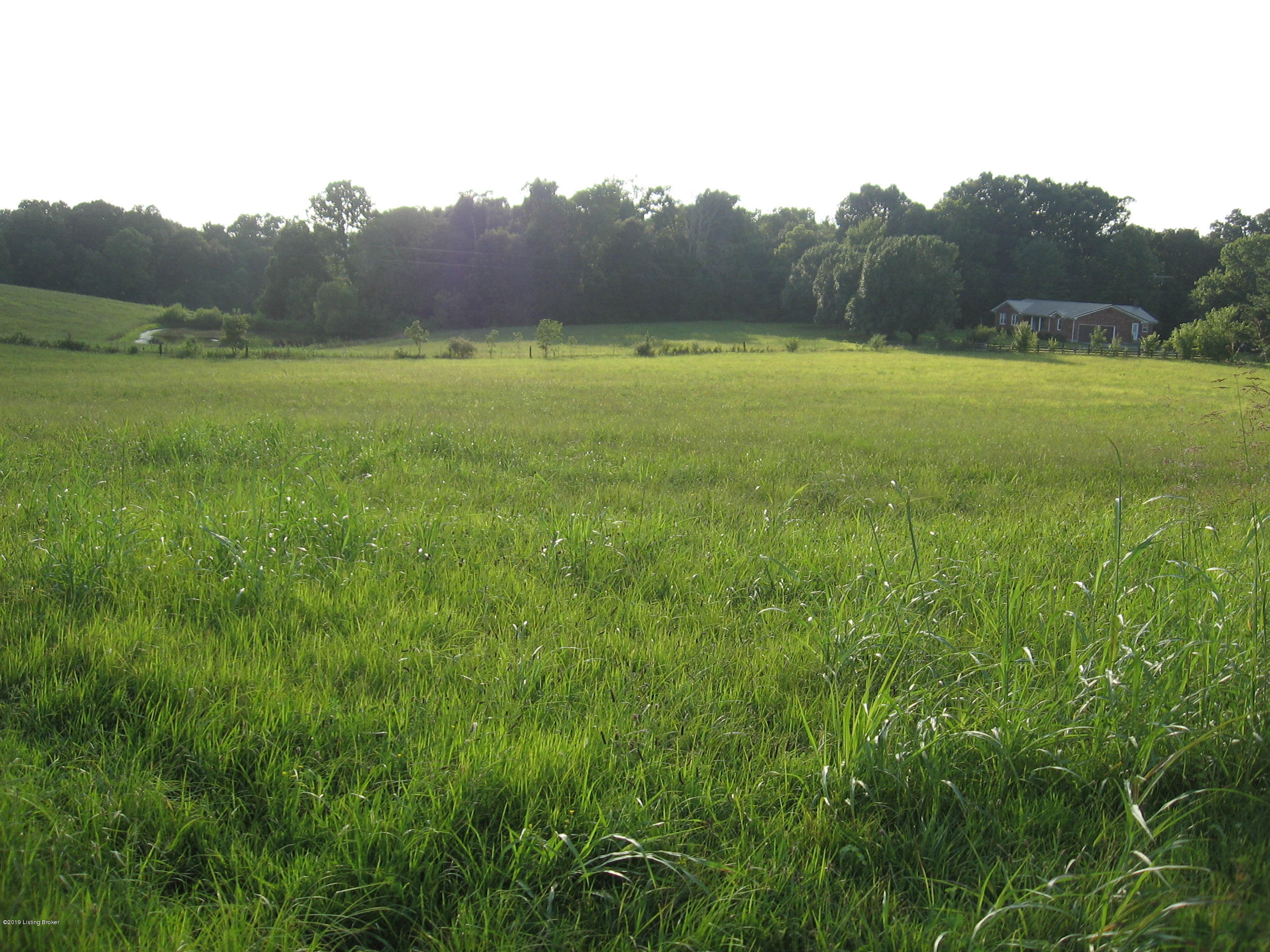 4954 Caney Creek Road Caneyville, KY 42721 - Photo 29 of 34 IMG_2021
