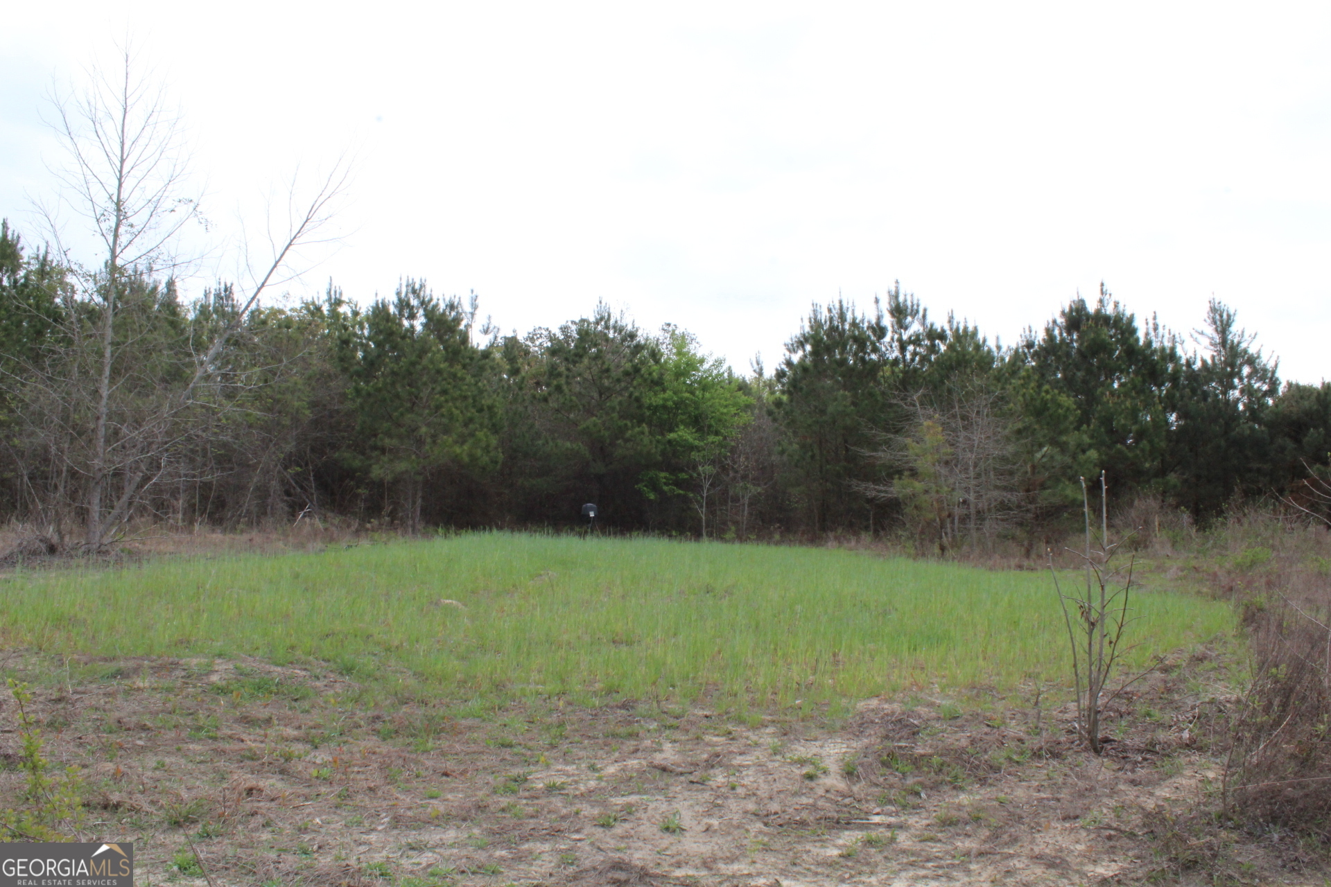 95-ac Sales Road Mauk, GA 31058 - Photo 3 of 9
