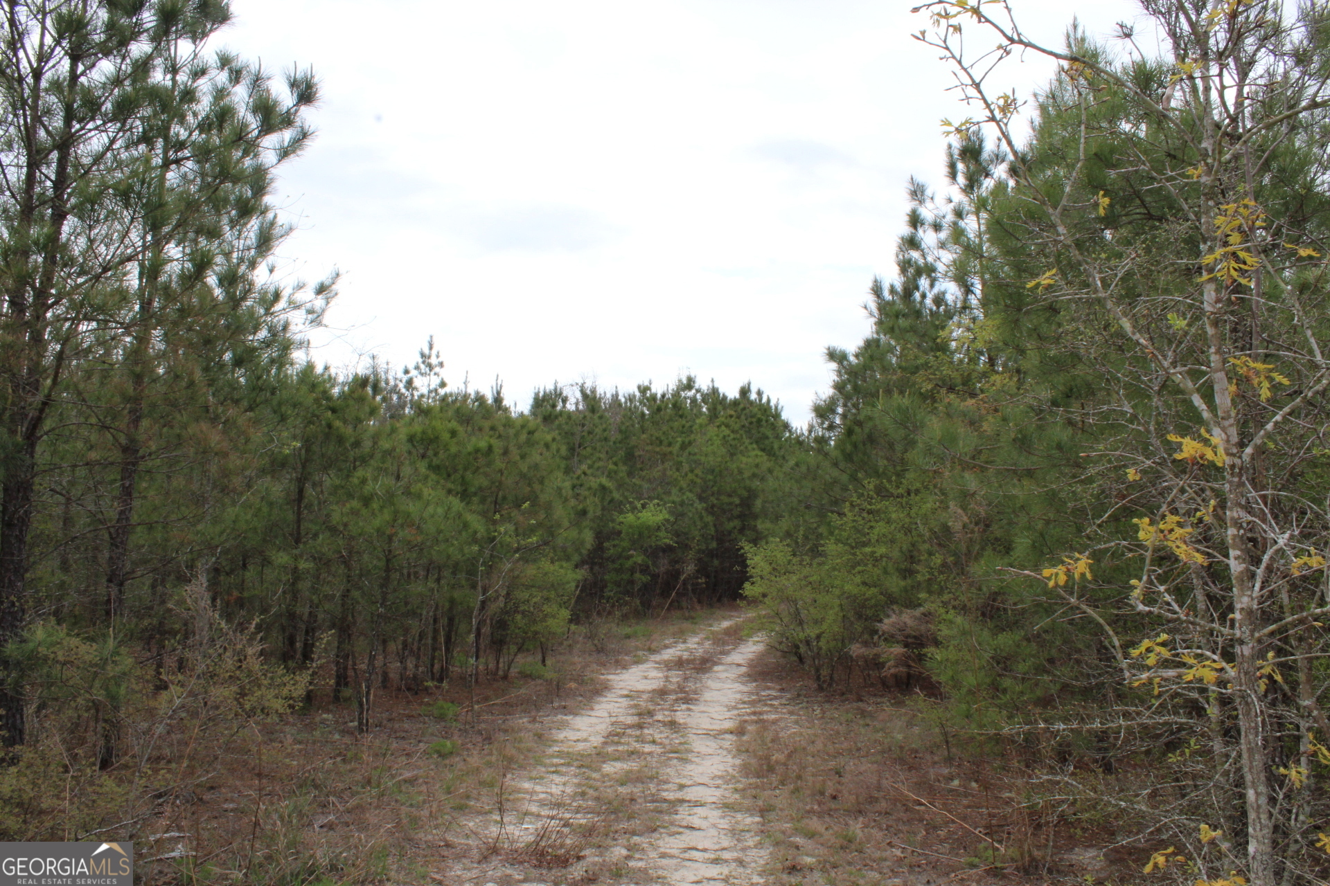 95-ac Sales Road Mauk, GA 31058 - Photo 7 of 9
