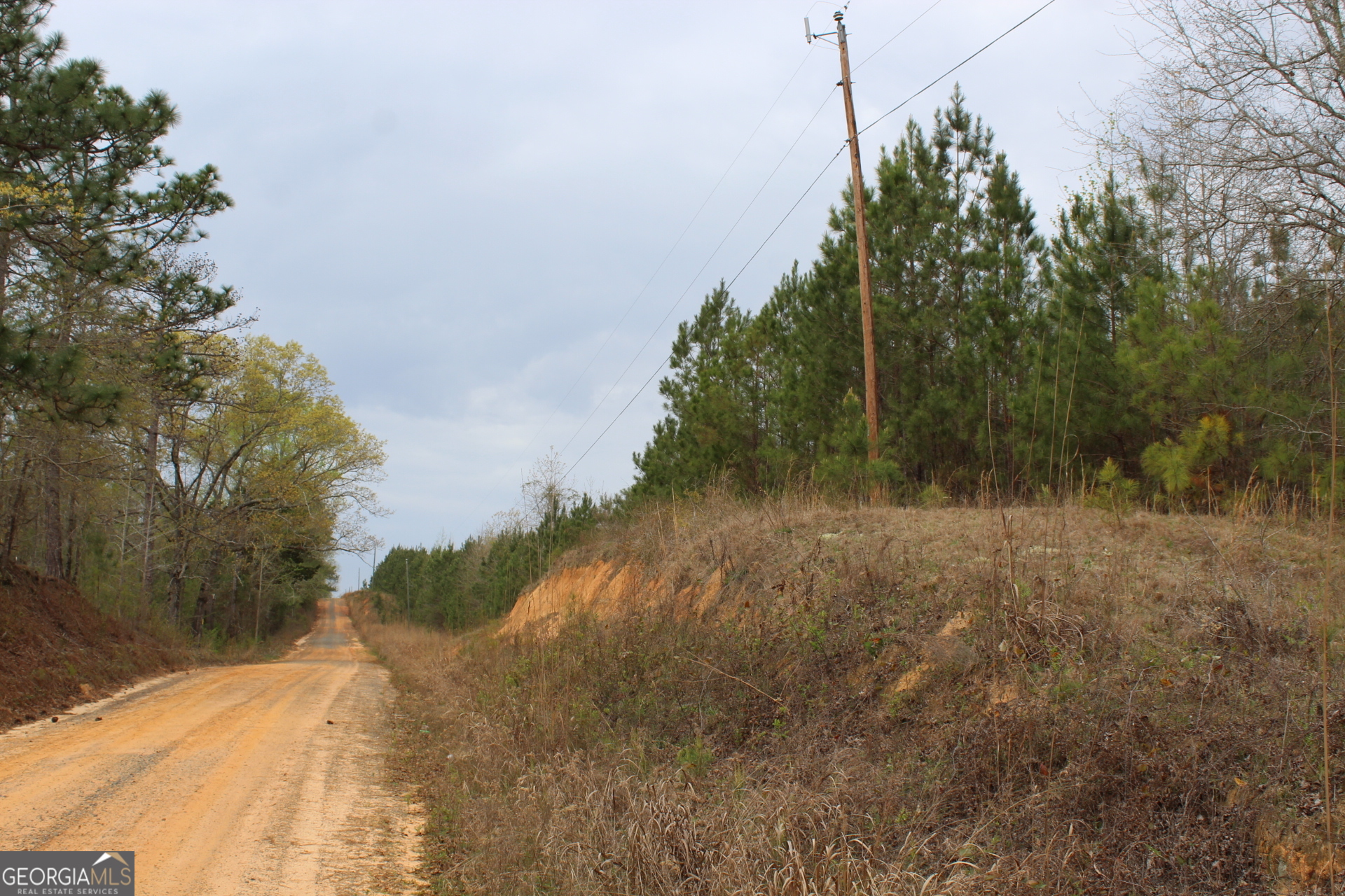 95-ac Sales Road Mauk, GA 31058 - Photo 8 of 9