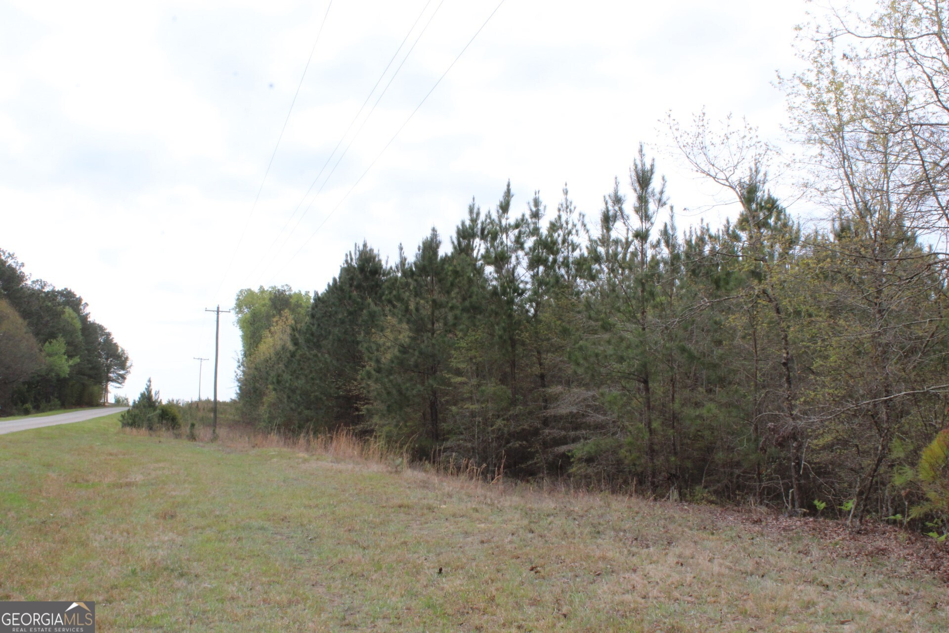 95-ac Sales Road Mauk, GA 31058 - Photo 9 of 9