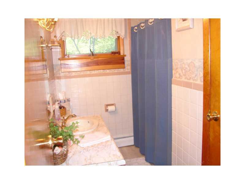 119 Garrett Shortcut Road Berlin, PA 15530 - Photo 10 of 14 Full Bath.